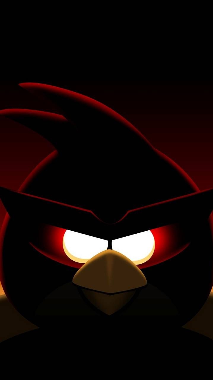 720x1280 Download Angry Birds Space Wallpaper HD By Hakimo9. Wallpaper HD.Com, Phone