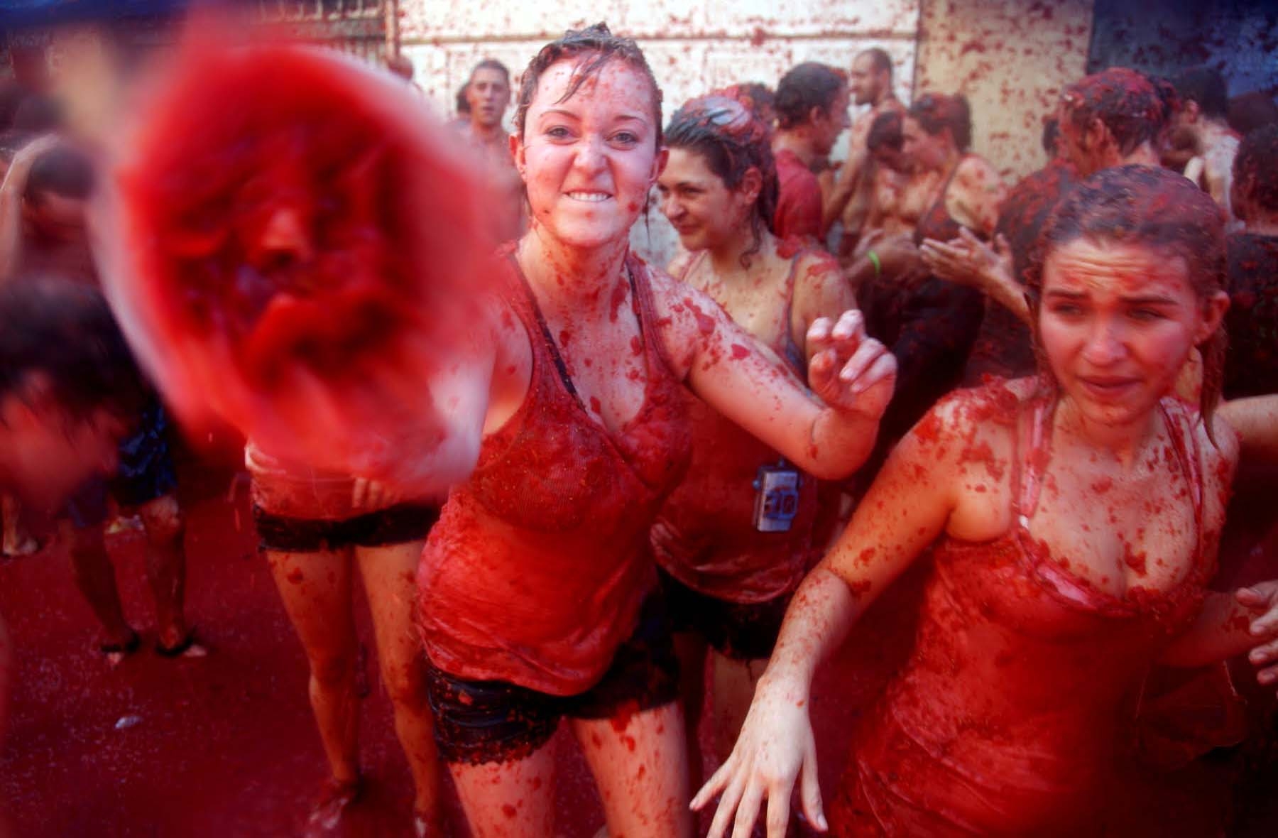 1800x1180 La Tomatina Festival 2016 Latest Picture Full HD, Desktop