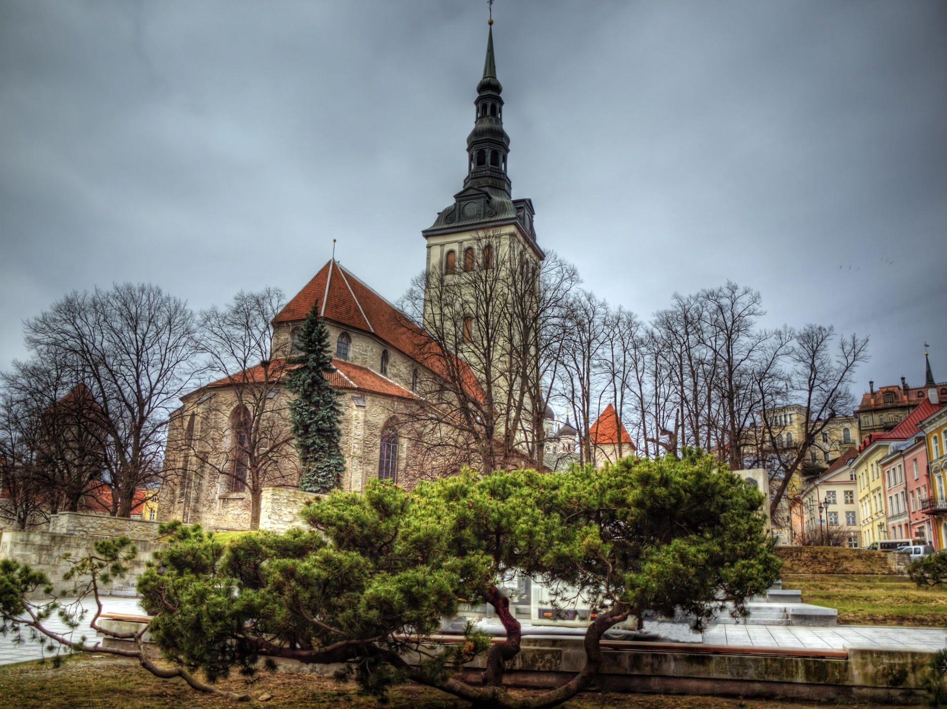 1920x1440 estonia hdr tree. HD Windows Wallpaper, Desktop