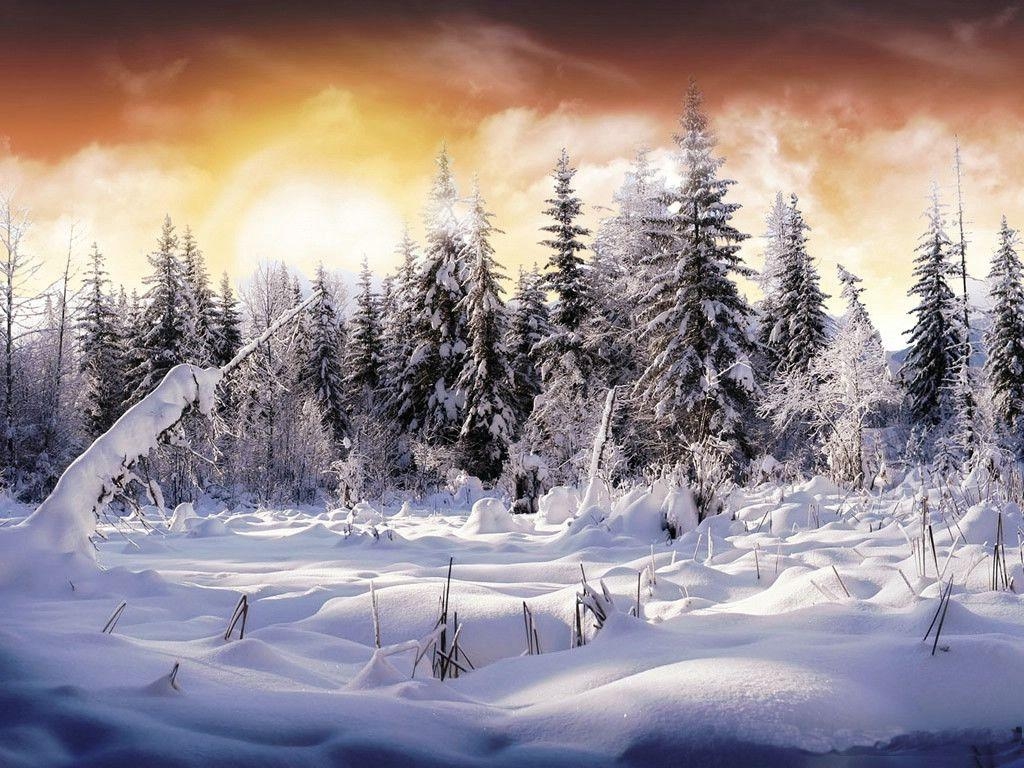 1030x770 Desktop Wallpaper Snow Scenes, Desktop