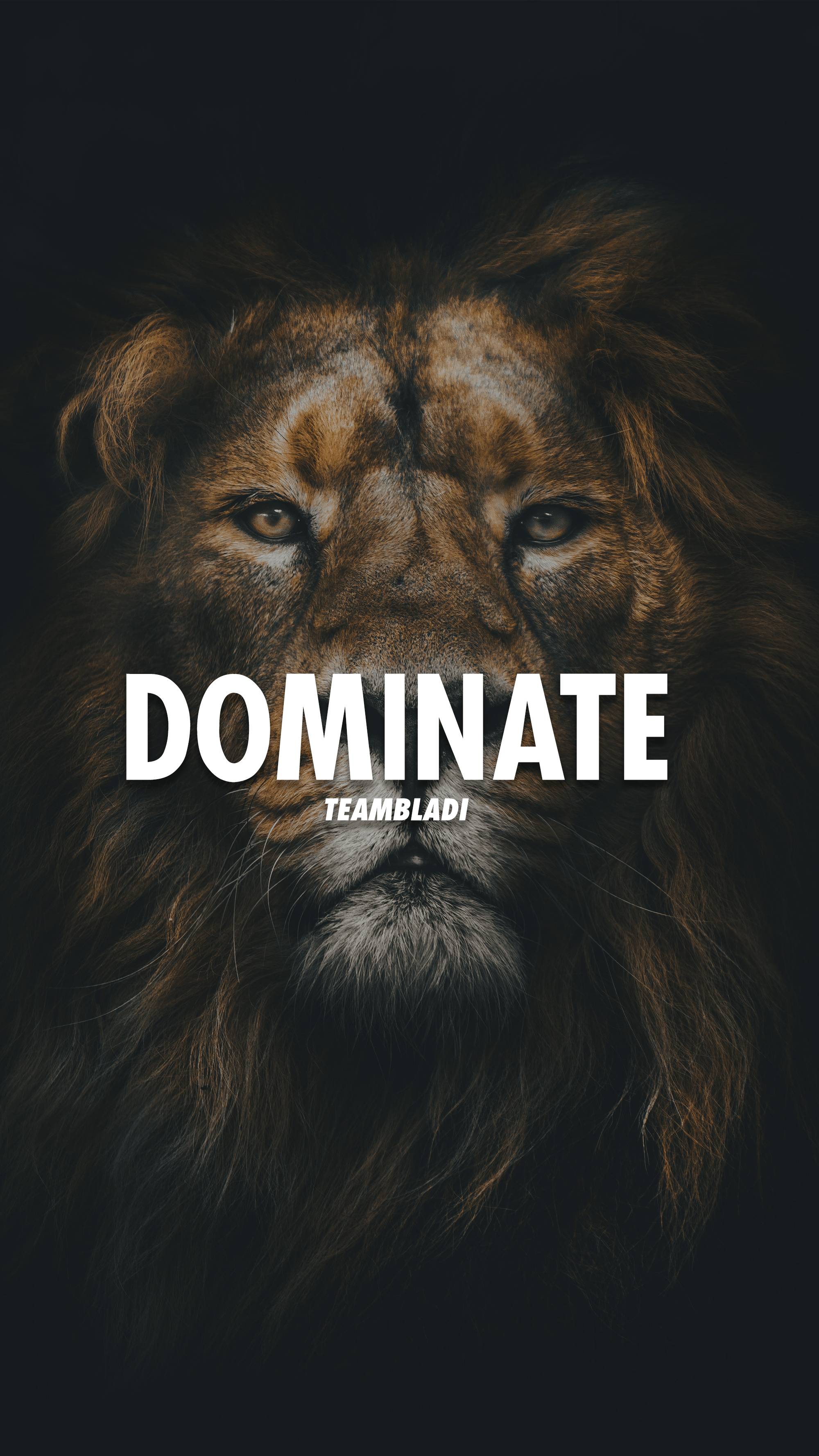 2000x3560 Lion Motivation Wallpaper HD, Phone