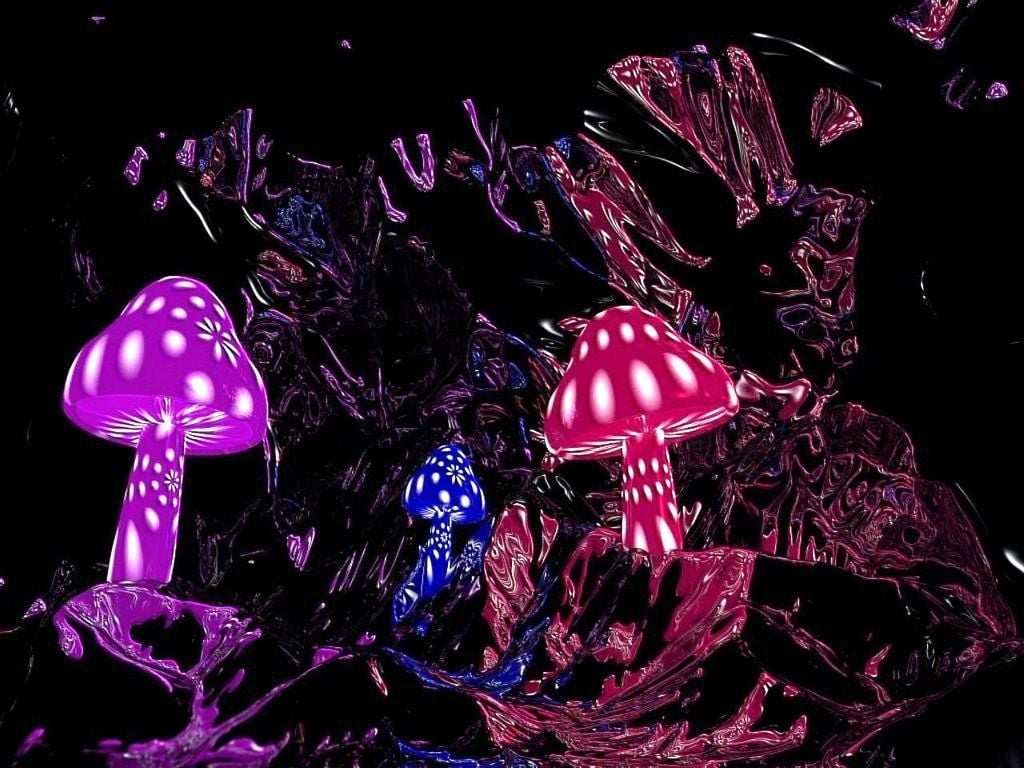 1030x770 Magic Mushrooms Wallpaper, Desktop