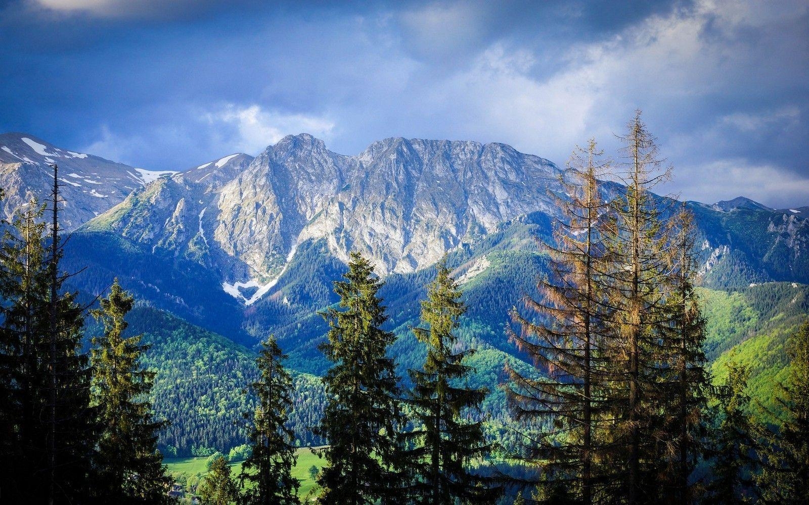 1600x1000 nature, Landscape, Mountain, Forest, Carpathians, Trees, Clouds, Desktop