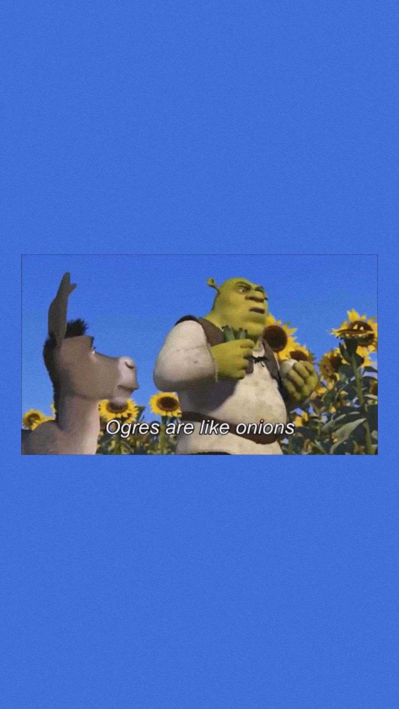 1290x2290 Shrek wallpaper. Shrek, Aesthetic iphone wallpaper, Cute, Phone