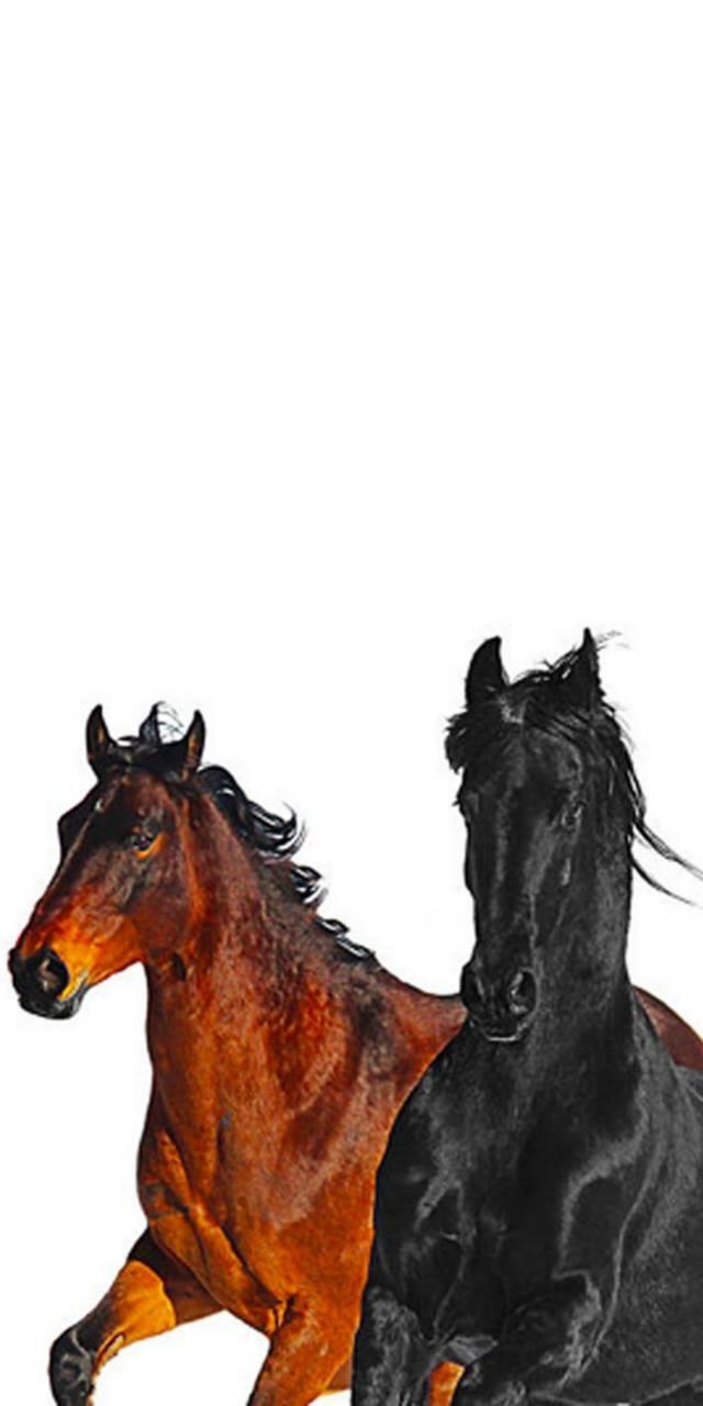 640x1280 Old town road horses Wallpaper, Phone