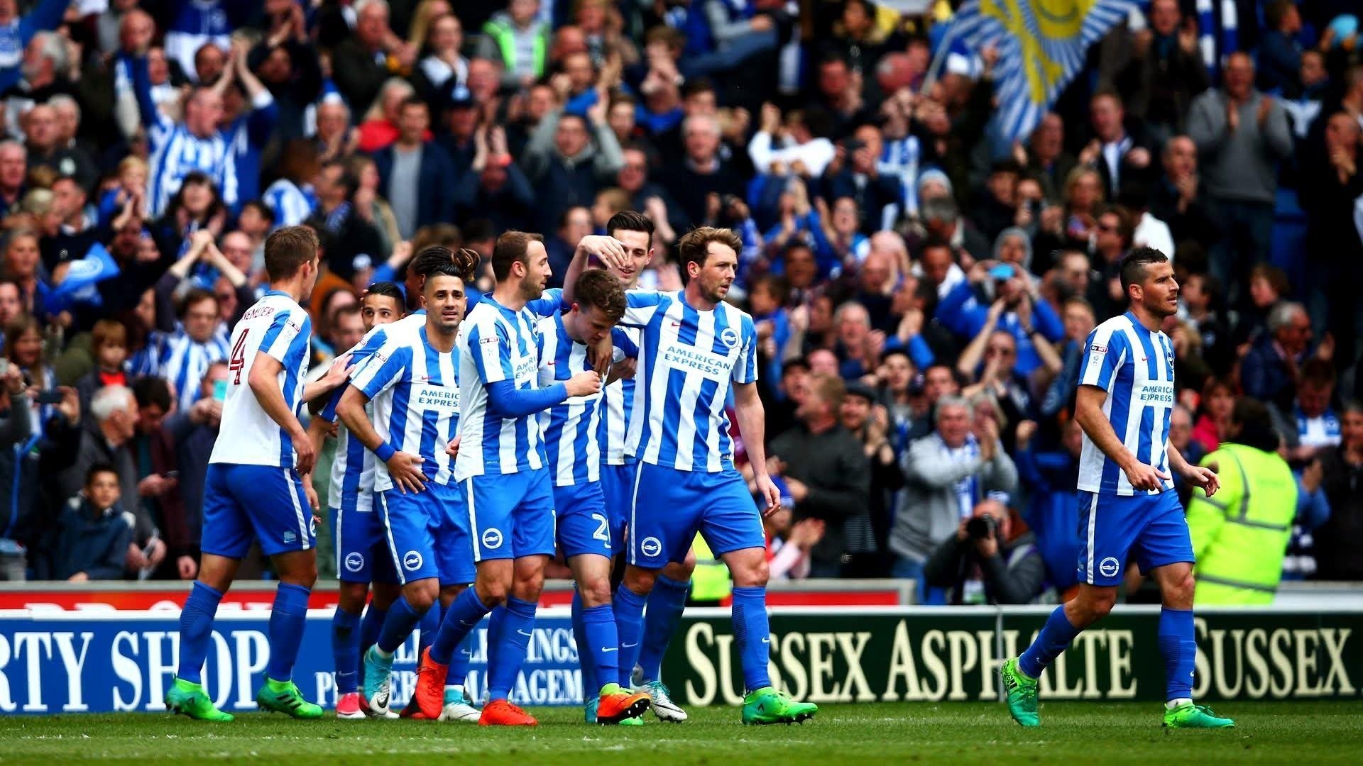 1920x1080 Premier League Newcomer: Meet Brighton and Hove Albion, Desktop