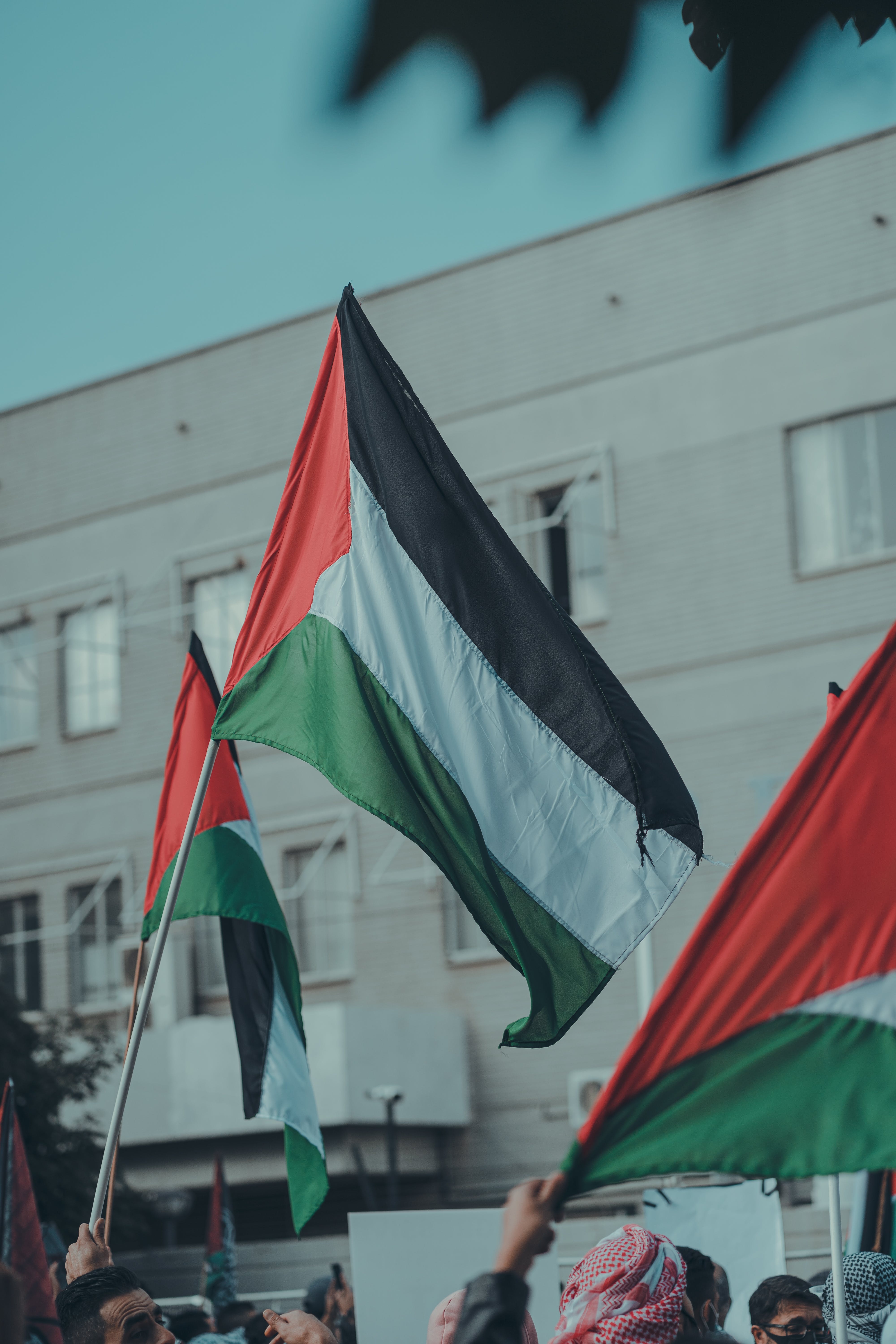 4000x6000 Palestinian Flags · Free, Phone