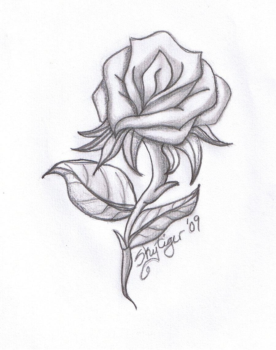 900x1150 Rose Drawing (8) Wondrous Pics. Roses Drawing, Pencil Drawings For Beginners, Pencil Drawings Easy, Phone