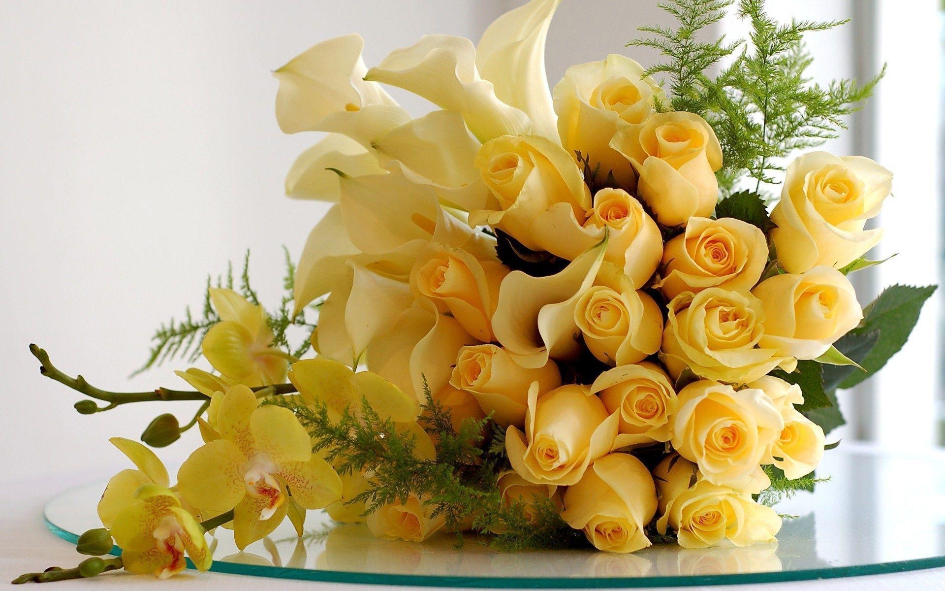 1920x1200 Bunch Of Yellow Roses Wallpaper, Desktop