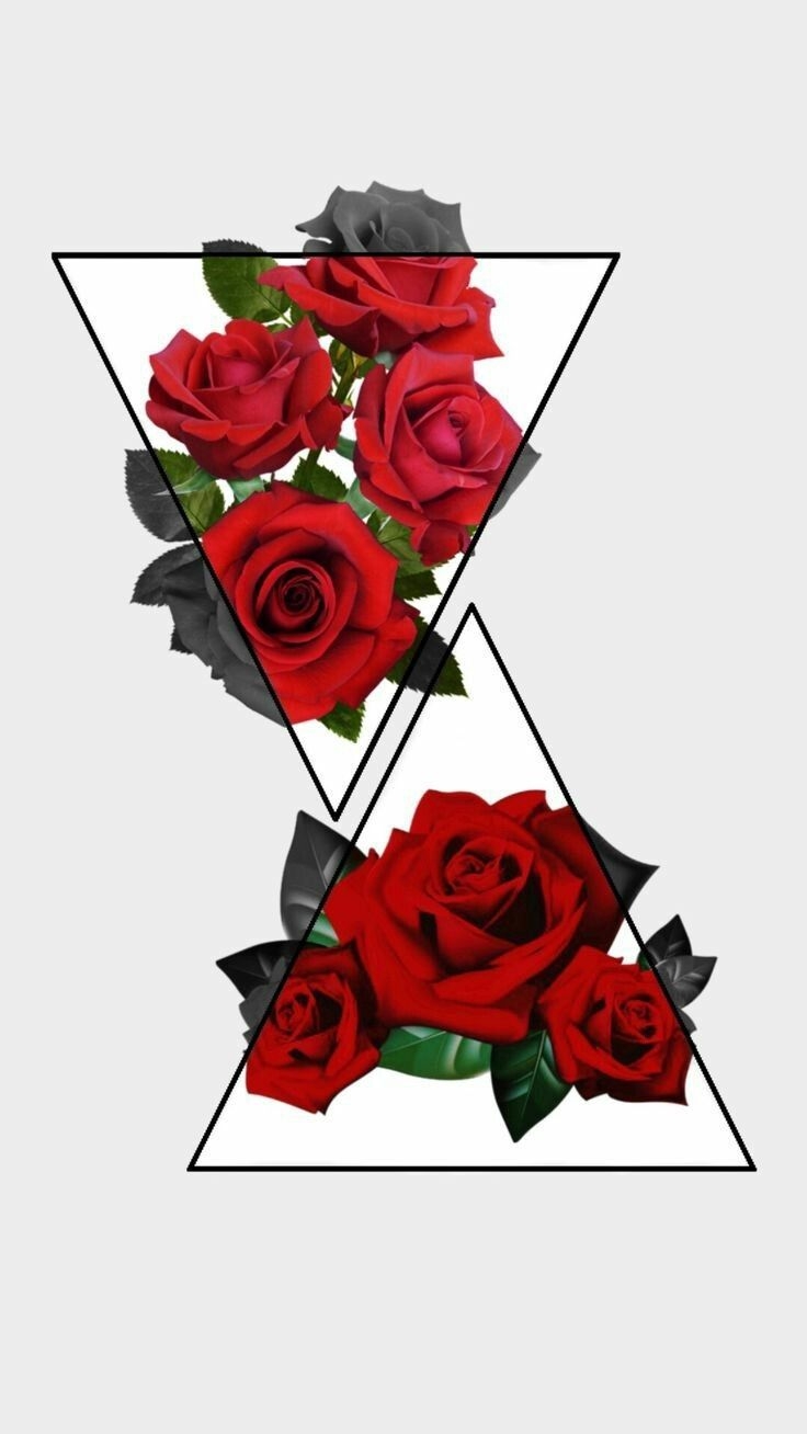 740x1310 Red Rose Aesthetic Wallpaper Free Red Rose Aesthetic, Phone