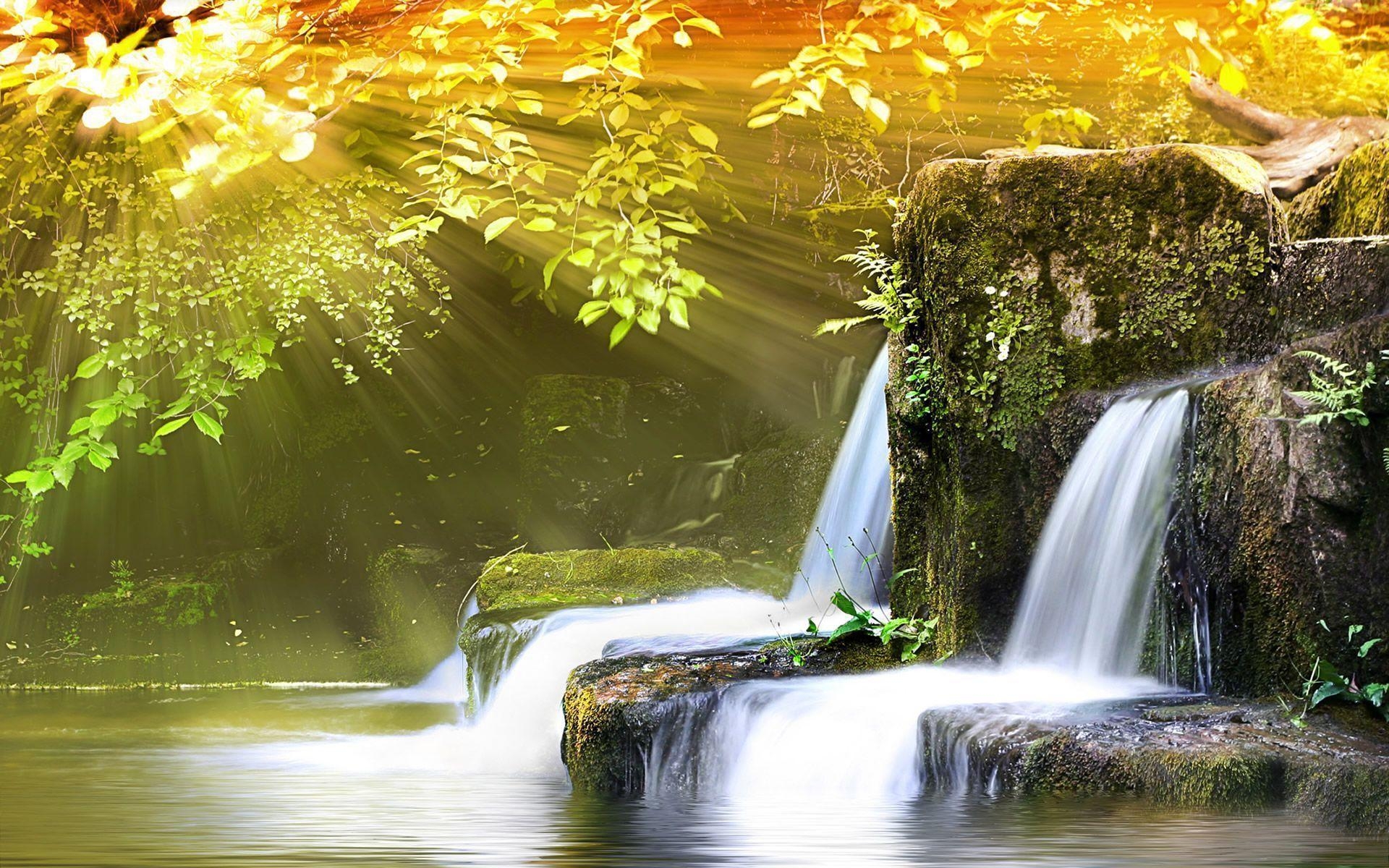 1920x1200 Spring Nature Background, Desktop