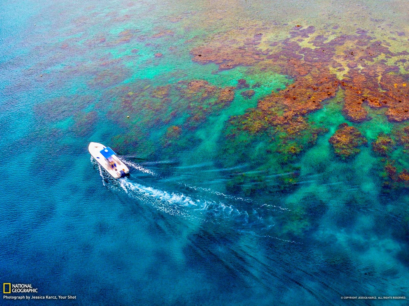 1600x1200 Coral Reef Picture - Ocean Wallpaper - National Geographic Photo, Desktop