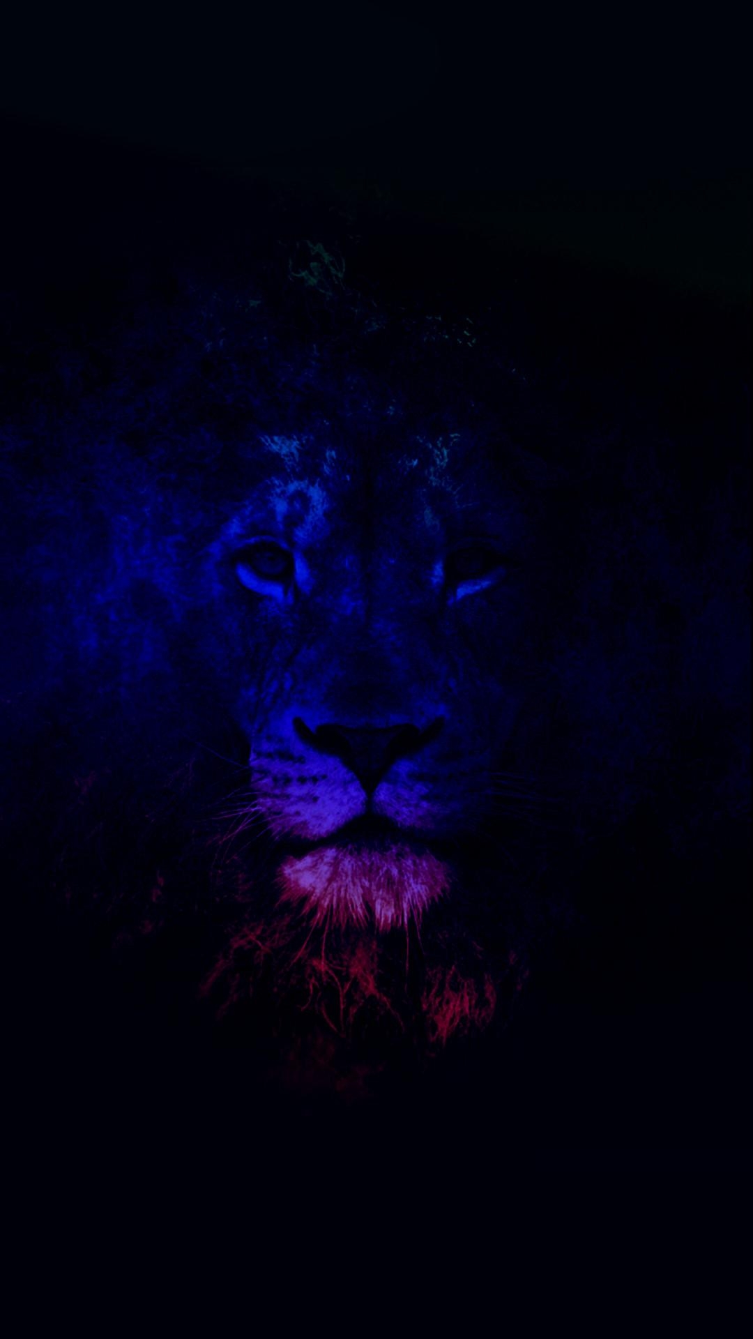 1080x1920 Lion iPhone Wallpaper, Phone