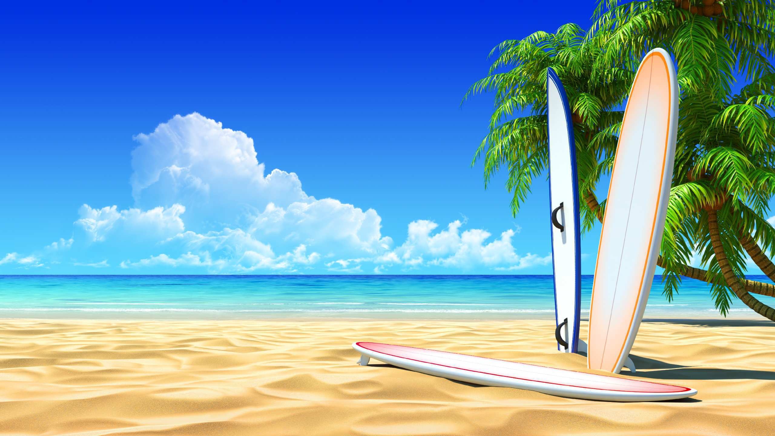 2560x1440 Surfboard Desktop Wallpaper, Desktop