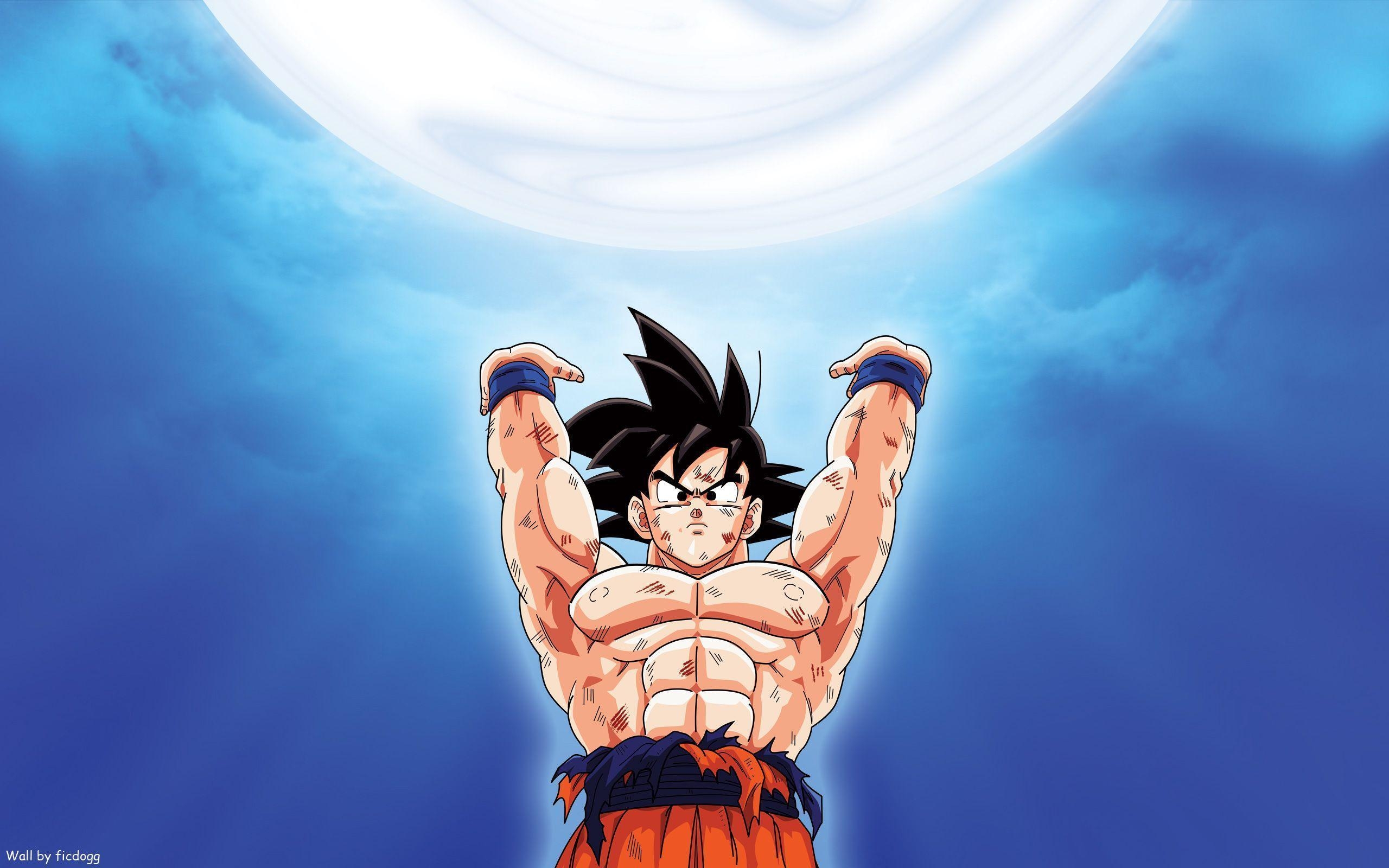 2560x1600 Goku HD Wallpaper and Background Image, Desktop