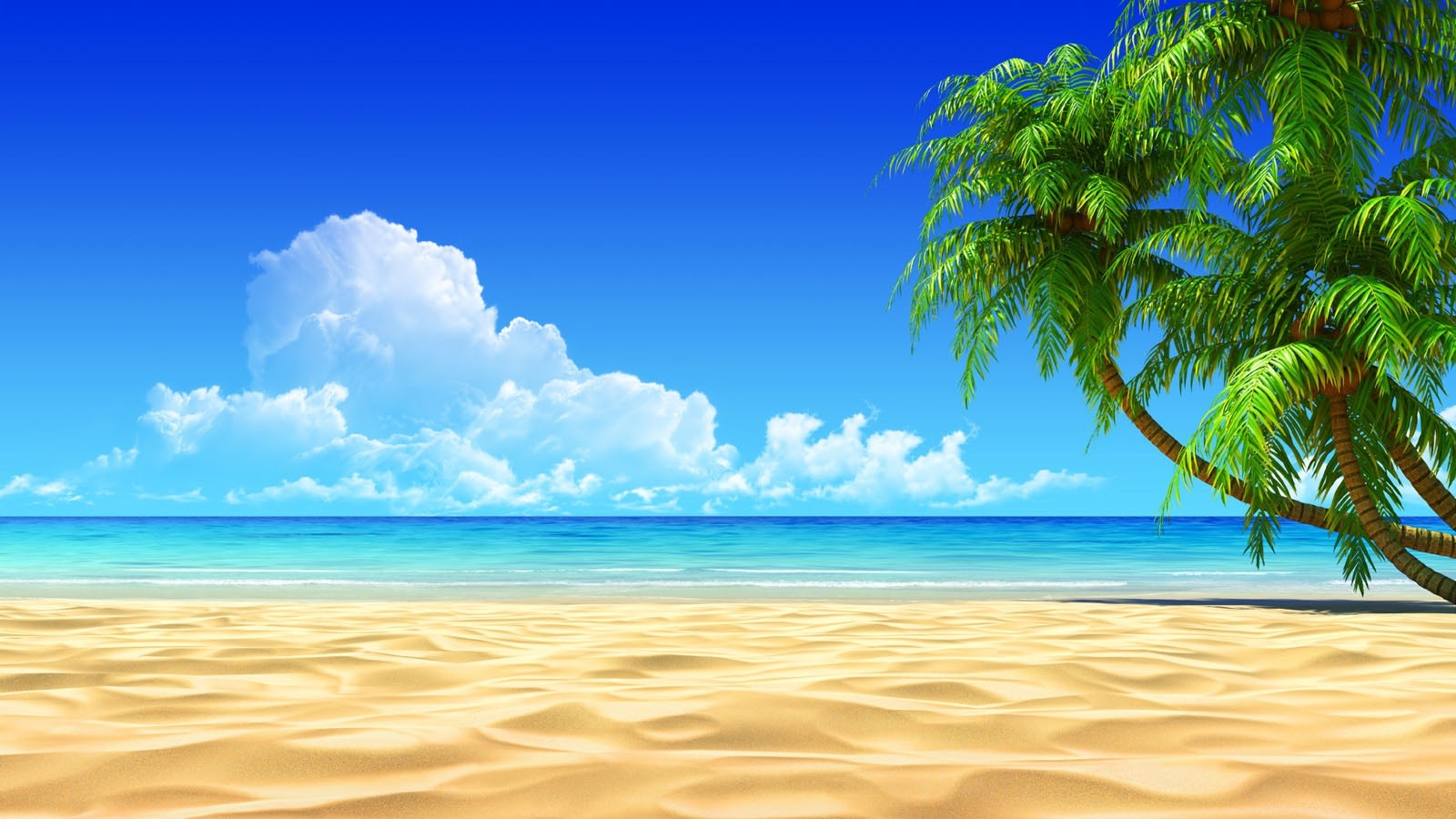 1600x900 Wallpaper, sea, nature, shore, sand, sky, clouds, beach, calm, coast, palm trees, horizon, island, summer, Caribbean, vacation, cloud, ocean, wave, tropics, daytime,  px, computer wallpaper, body of water, arecales, azure, Desktop