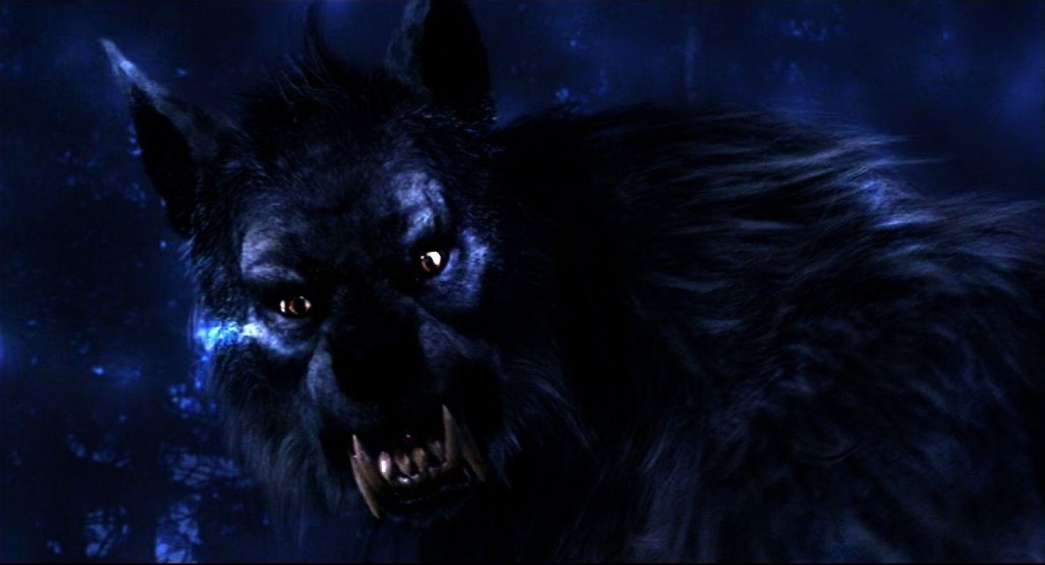 1500x810 Download Dark Werewolf Wallpaper, Desktop