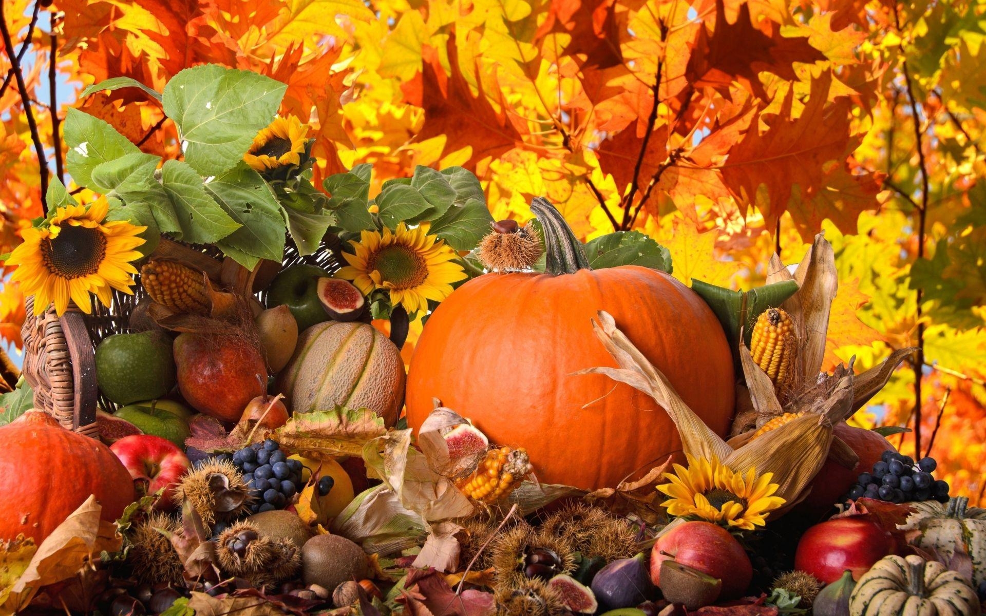 1920x1200 Large Thanksgiving Wallpaper Free Large Thanksgiving Background, Desktop