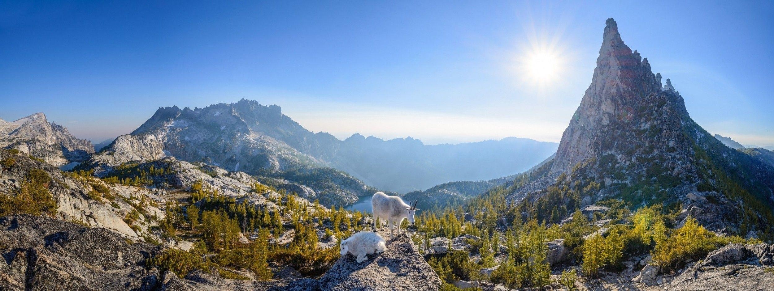 2500x950 nature, Landscape, Panoramas, Mountain, Lake, Goats, Trees, Sun, Dual Screen