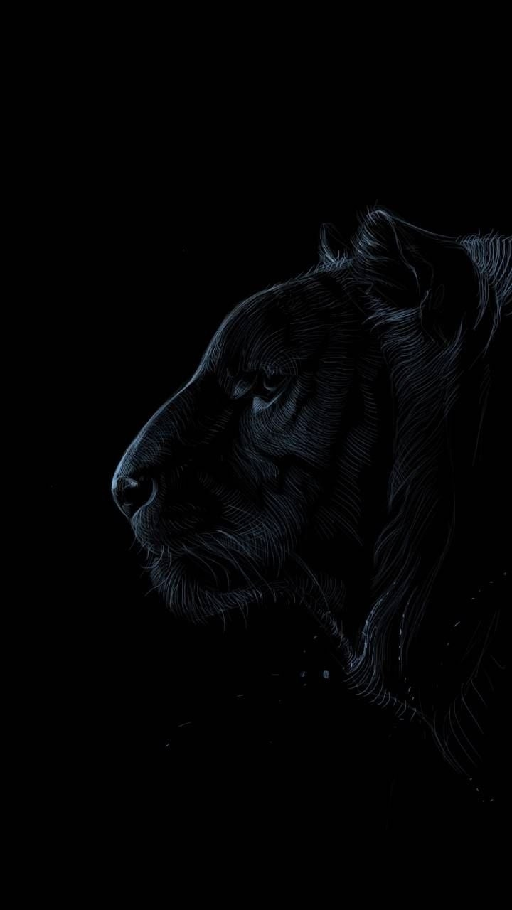 720x1280 Black Tiger wallpaper, Phone