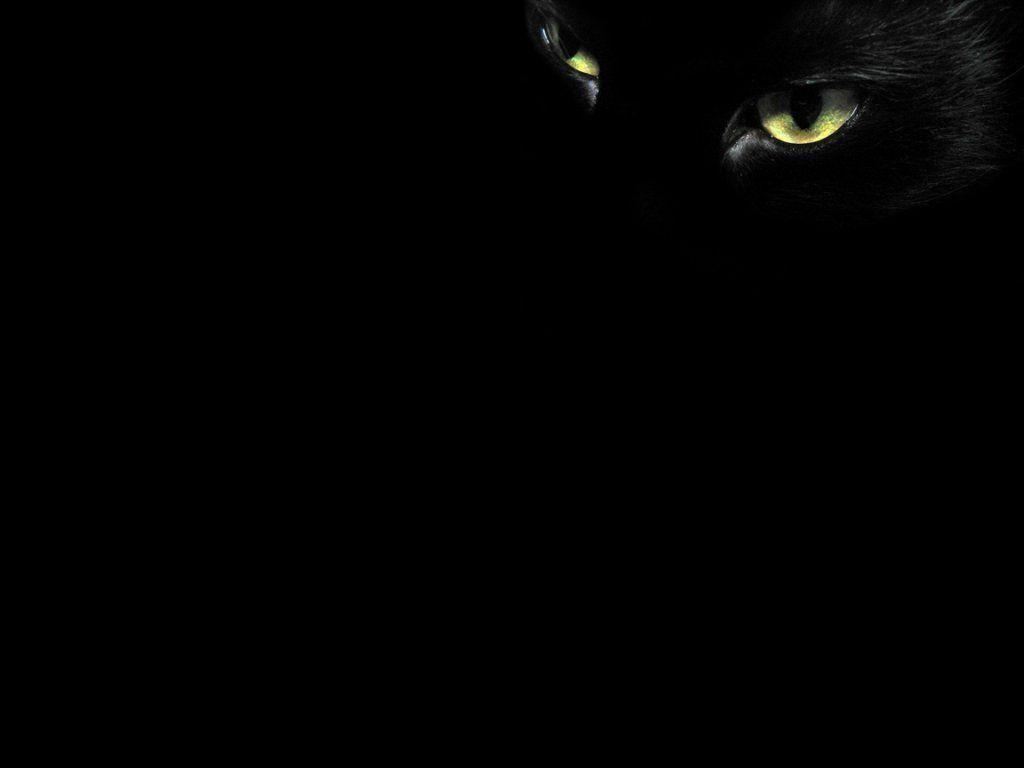 1030x770 Black Cat Wallpaper (37), Desktop