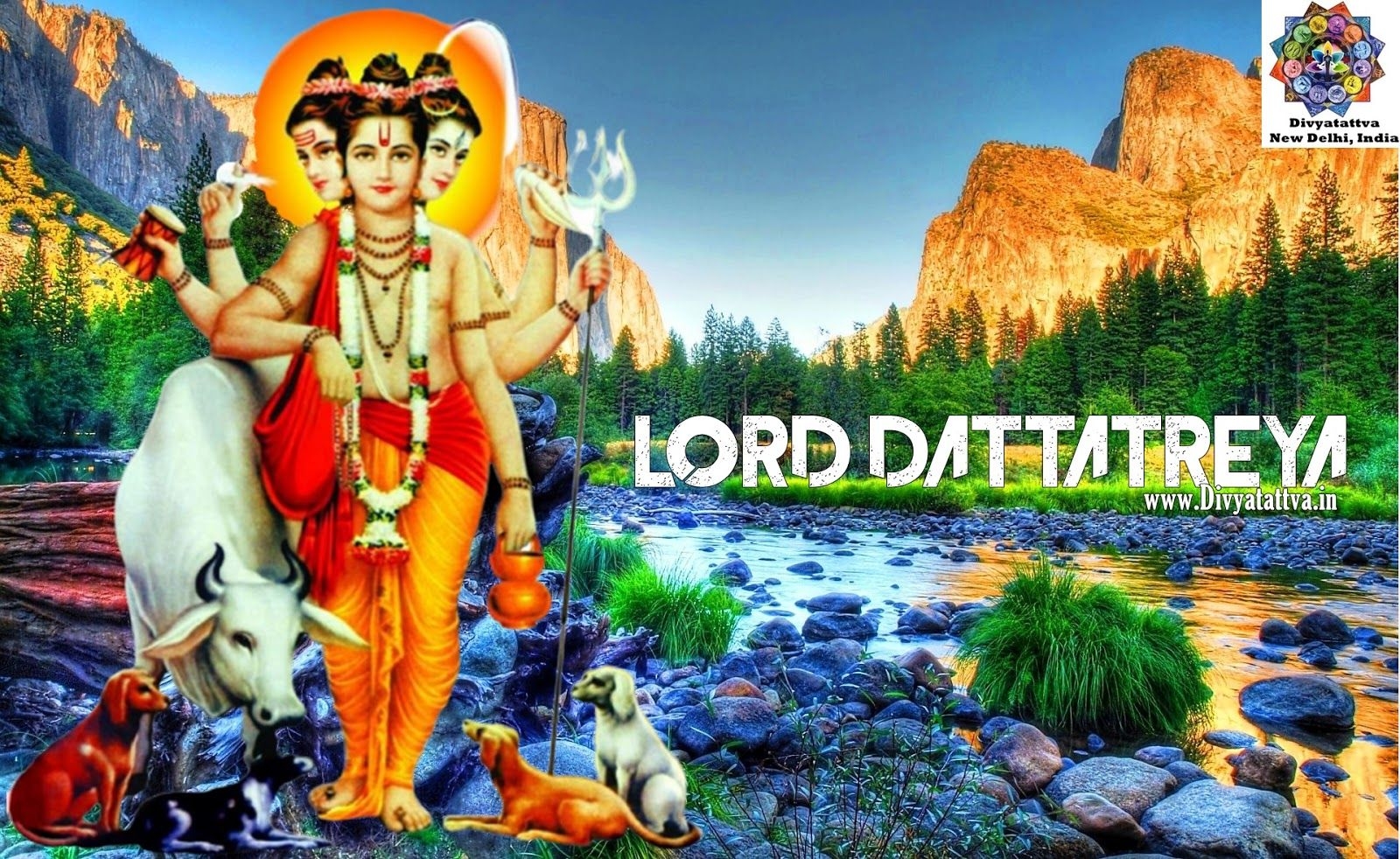 1600x990 Divyatattva Astrology Free Horoscopes Psychic Tarot Yoga Tantra Occult Image Videos, Lord Dattatreya 4K HD Wallpaper Hindu God Dattatreya Picture and Background Free Download for Personal Use, Desktop