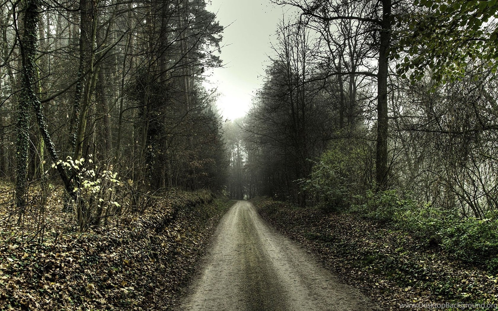 1680x1050 Haunted Forest Scary Road HD Wallpaper Widescreen 1920x1440 Desktop Background, Desktop