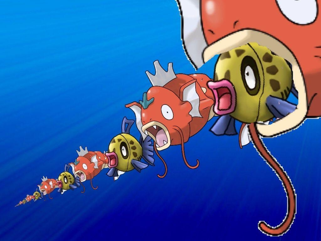 1030x770 Magikarp Feebas Chain Insanity Response To 9 Month Old Comment, Desktop