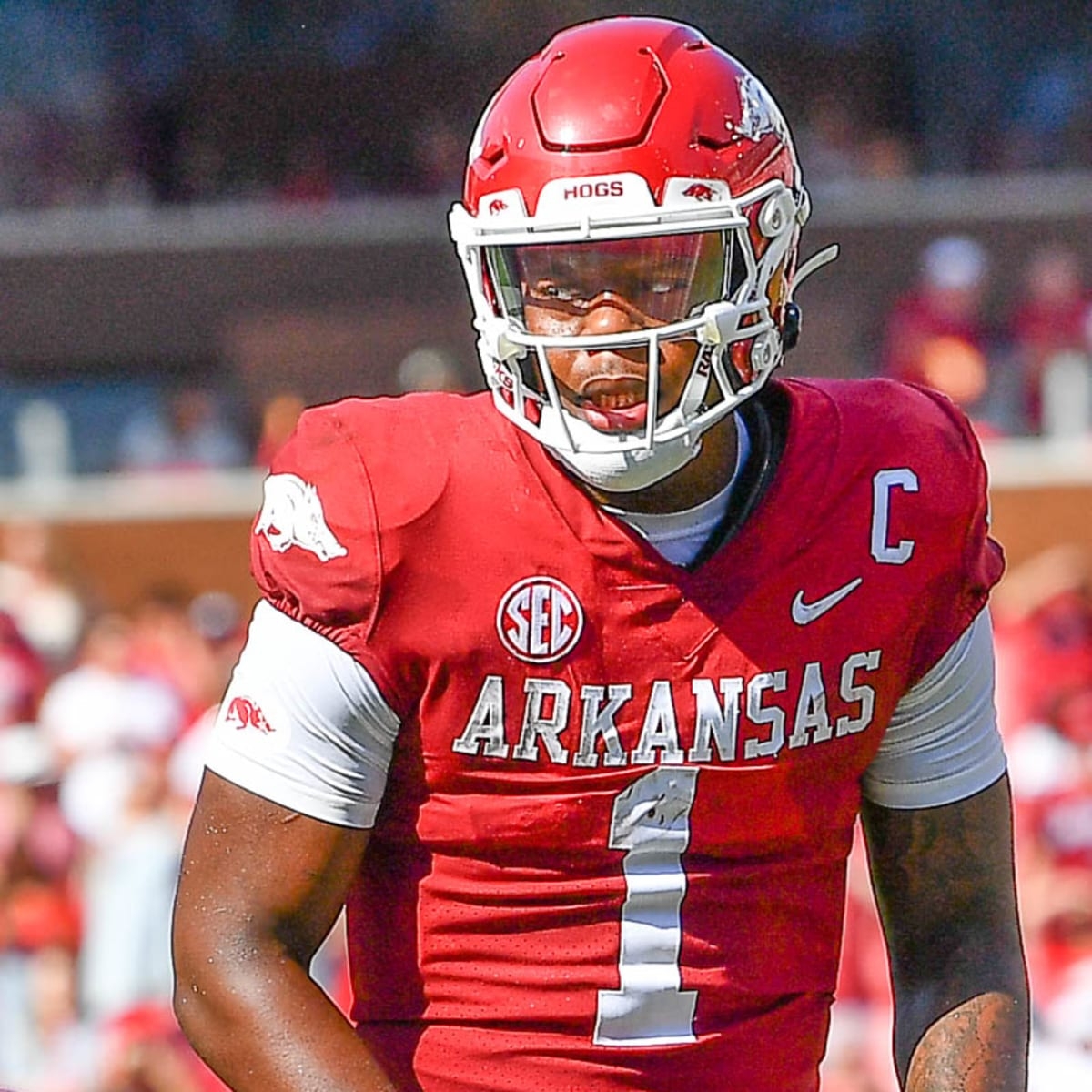 1200x1200 South Carolina coach Shane Beamer Turns Arkansas Razorbacks quarterback KJ Jefferson into Saturday Night Live's 'Bill Brasky' of College Football Illustrated All Hogs News, Analysis and More, Phone