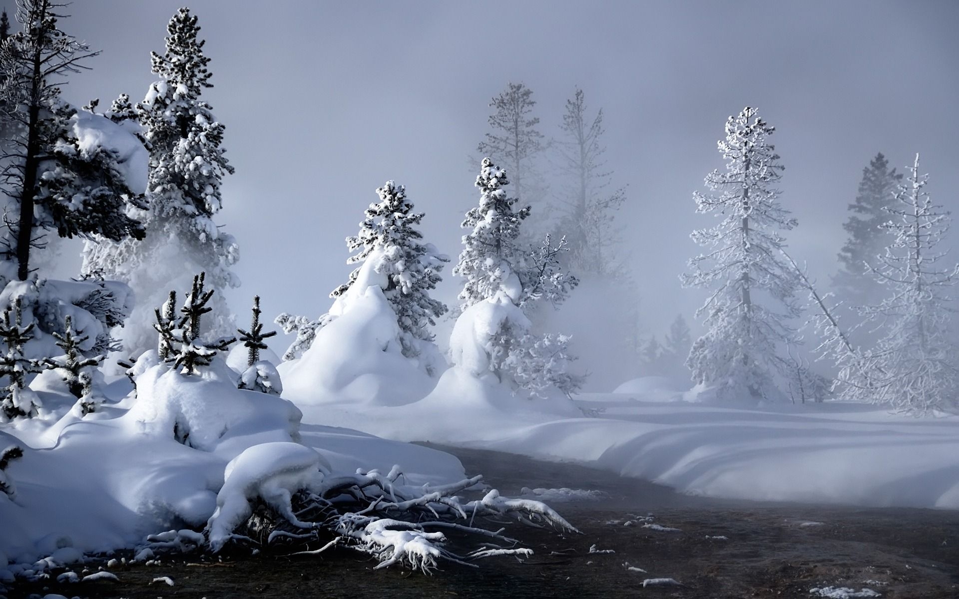 1920x1200 Free Winter Picture Wallpaper, Desktop