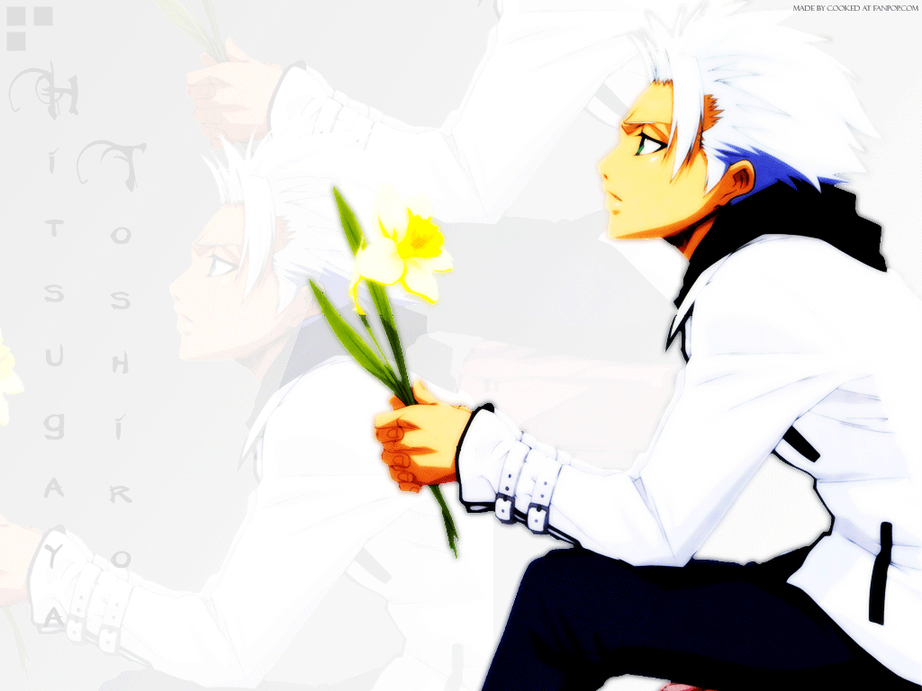 1030x770 Toshiro Hitsugaya Anime Wallpaper, Desktop