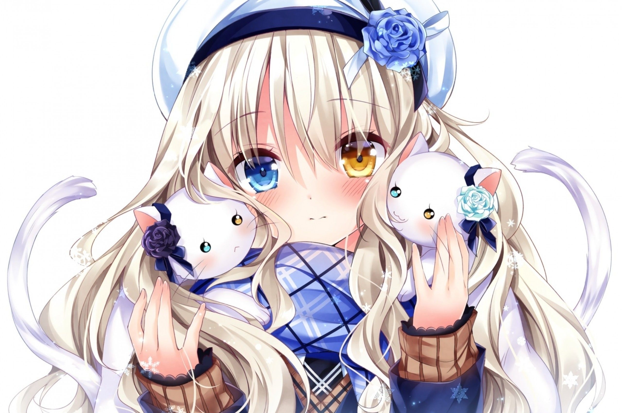 2560x1700 Download  Anime Girl, Bicolored Eyes, Cats, Blonde, Cute, Blushy Wallpaper for Chromebook Pixel, Desktop