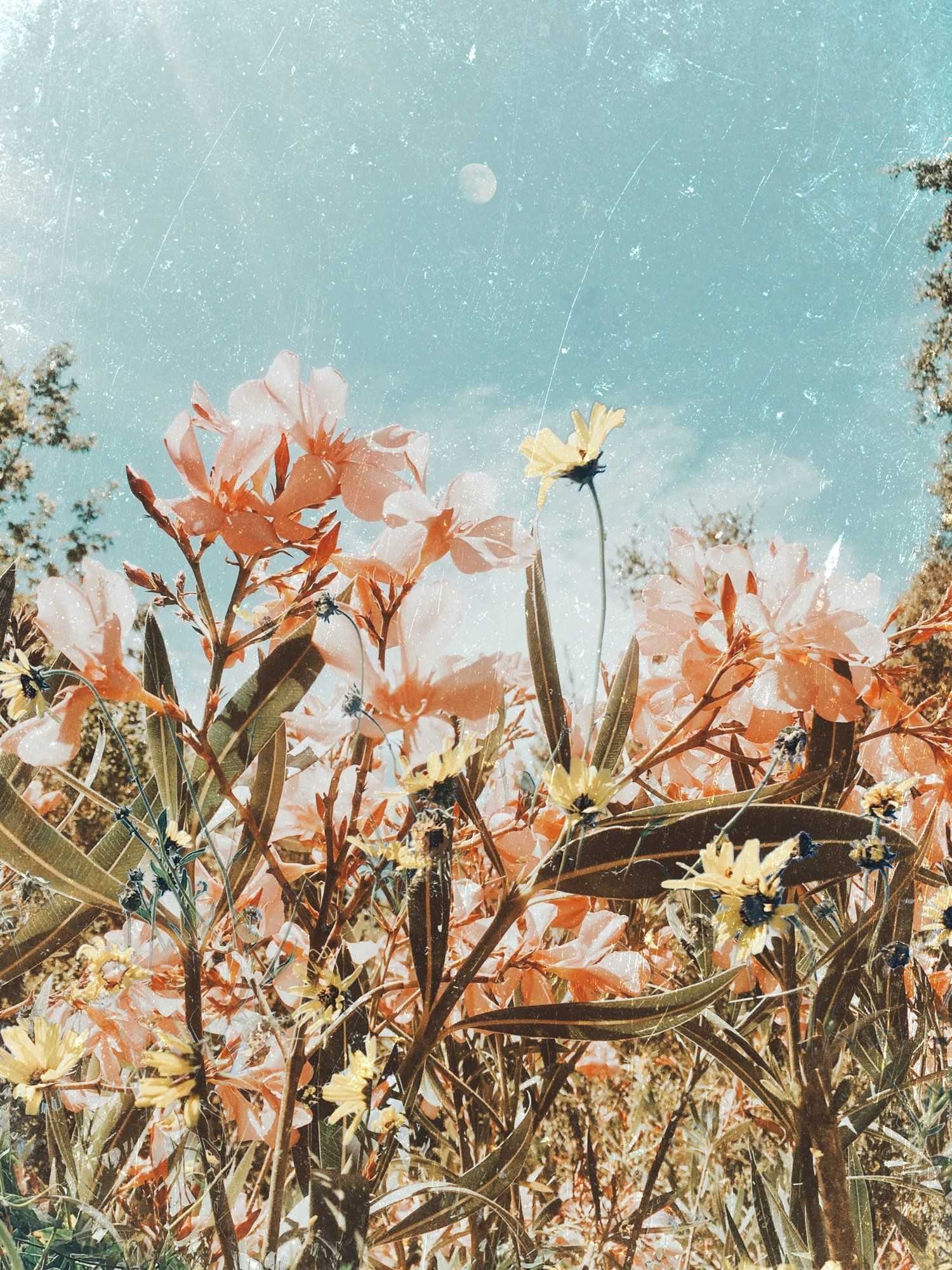 1500x2010 Aesthetic Spring Wallpaper, Phone