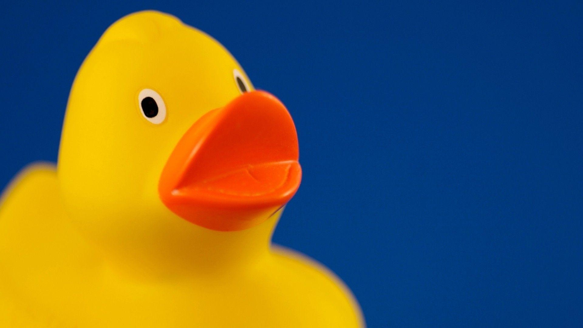 1920x1080 Rubber Duckies Background, Desktop