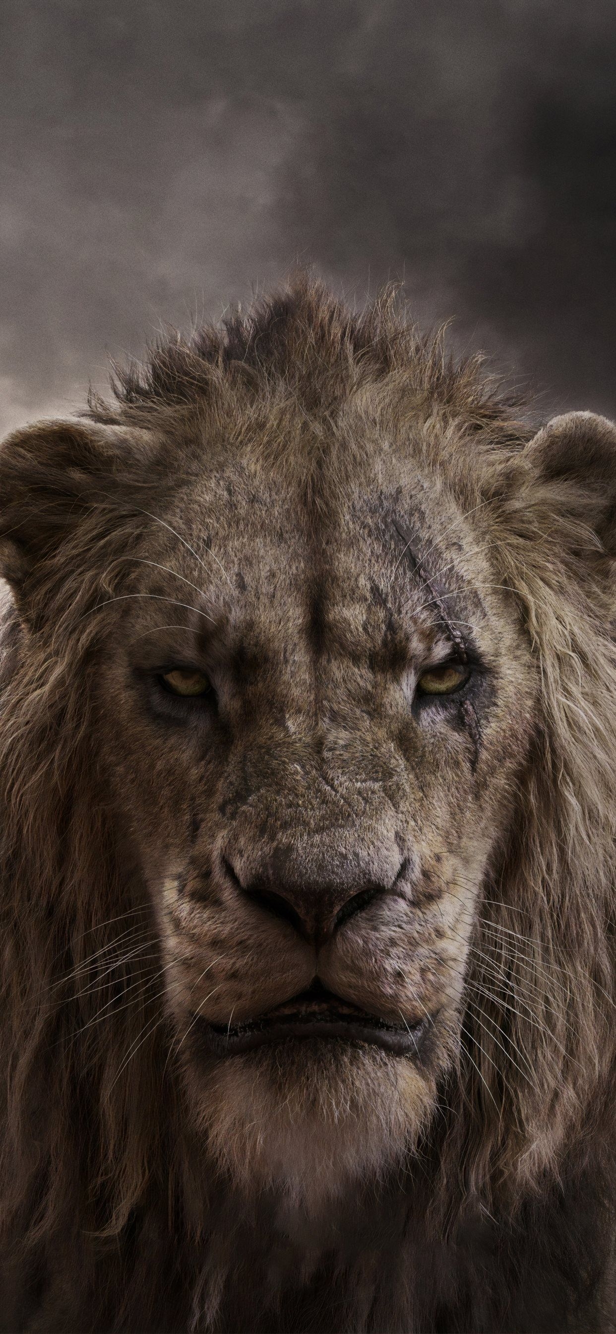 1250x2690 chiwetel ejiofor as scar in the lion king 2019 4k iPhone, Phone