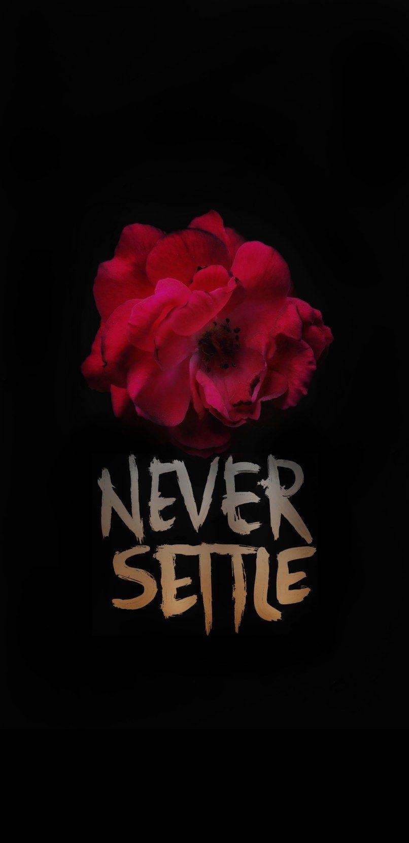 810x1660 I made a WALLPAPER!!!NEVER SETTLE, Phone