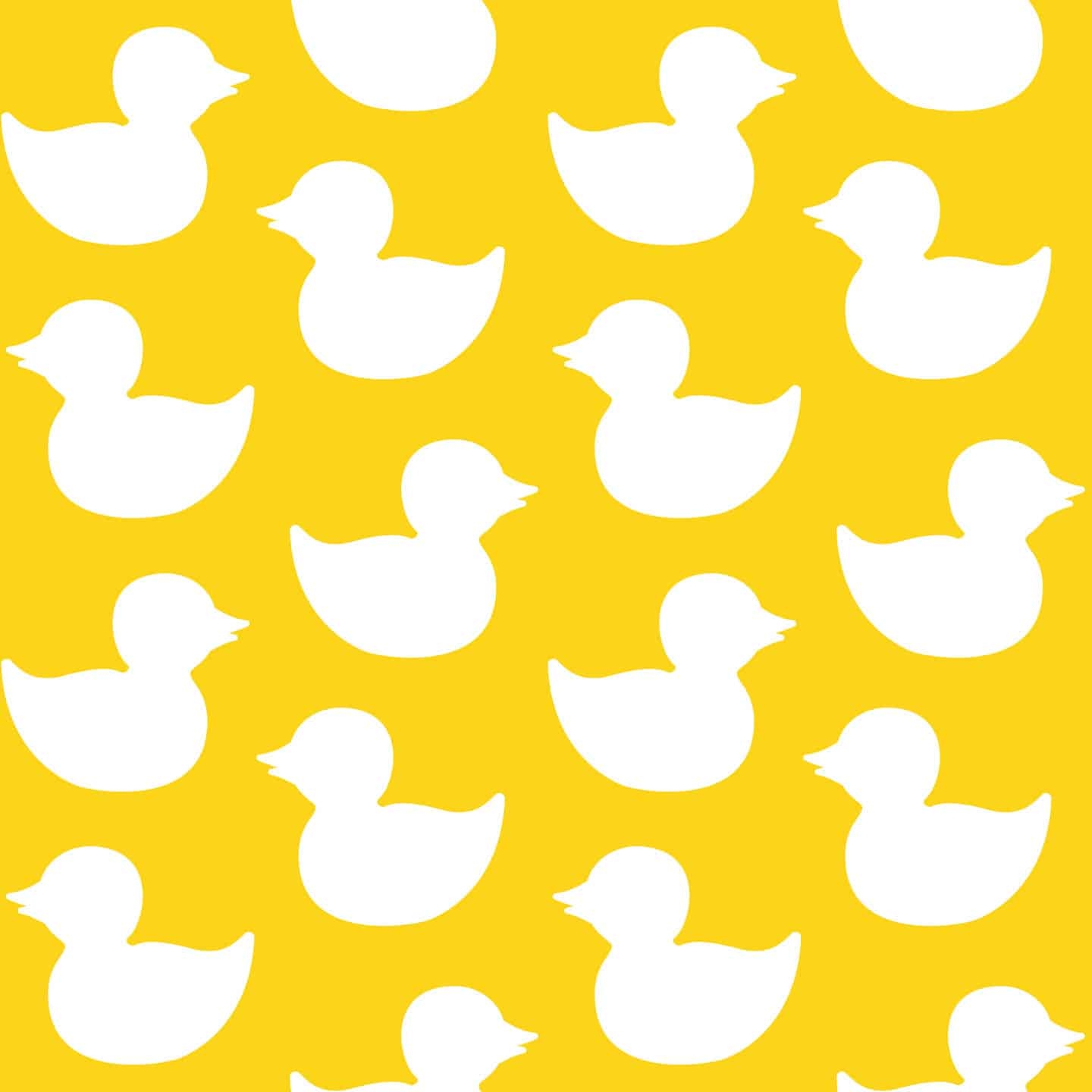 1440x1440 Yellow Aesthetic Duck Wallpaper And Stick Or Non Pasted, Phone