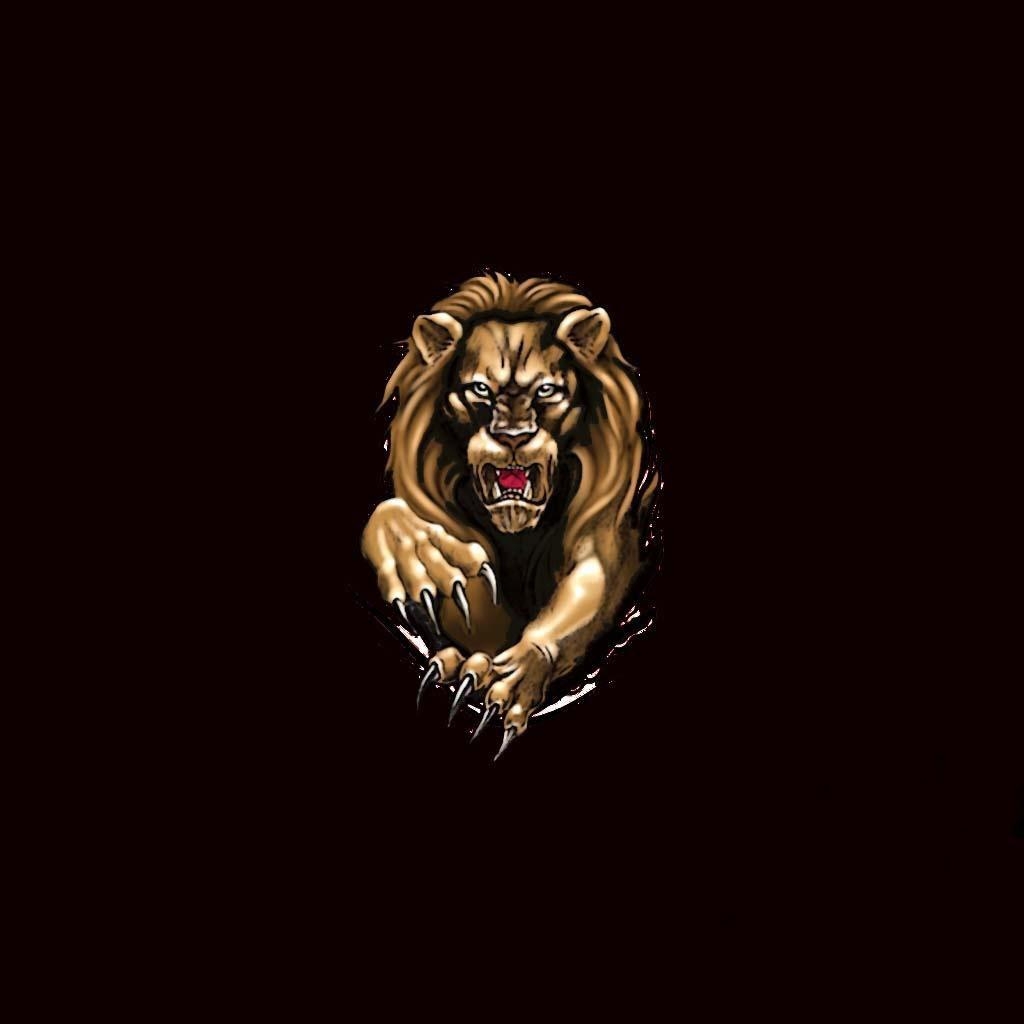 1030x1030 Free download Black Lion iPad Wallpaper [], Phone