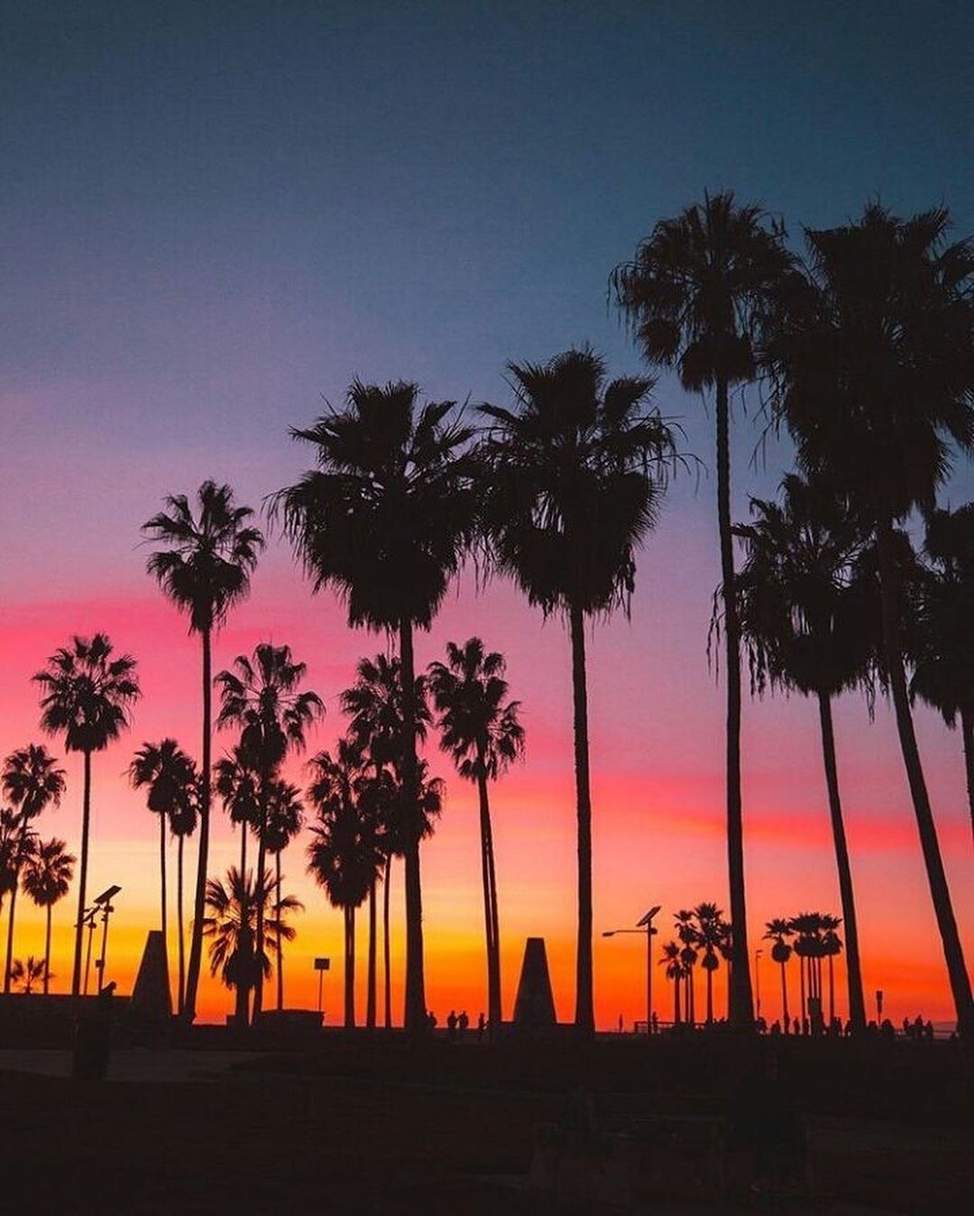 1080x1350 Sunset Aesthetic Wallpaper Palm Trees, Phone