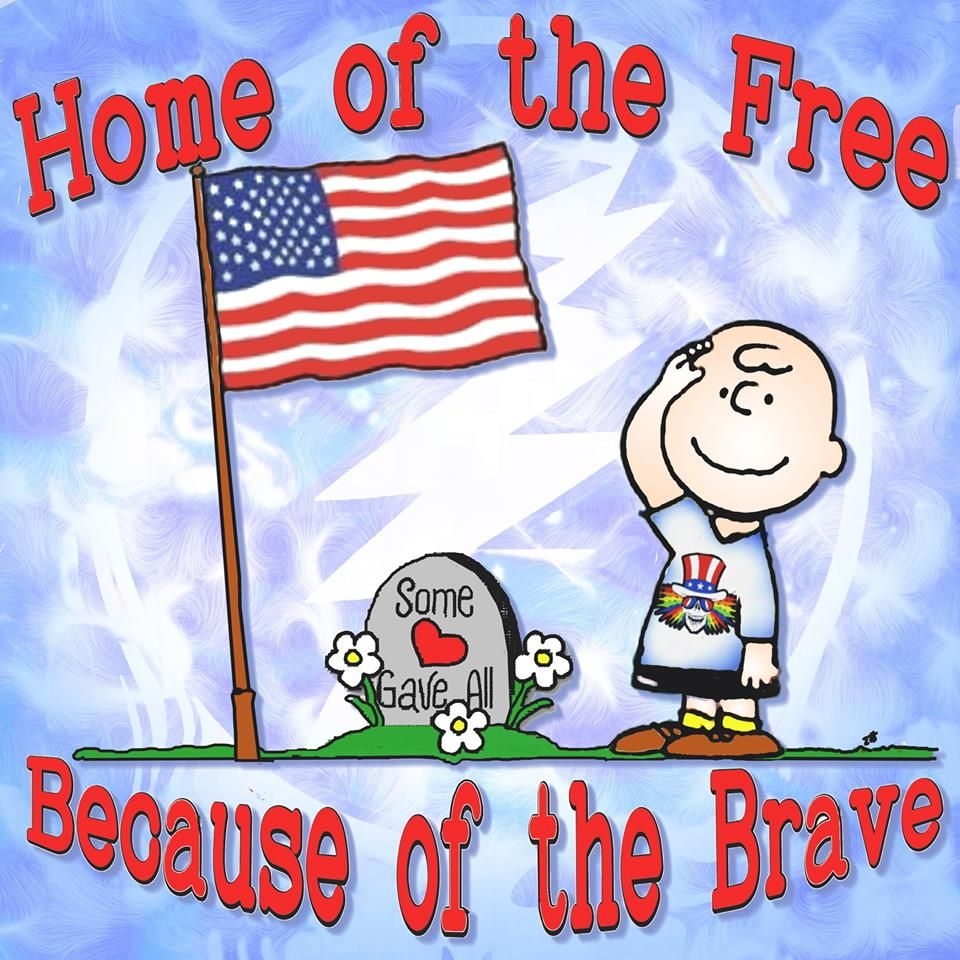 960x960 Home of the free because of the brave. Some gave all. Charlie Brown saluting a flag near a gravestone. Snoopy love, Charlie brown and snoopy, Snoopy and woodstock, Phone