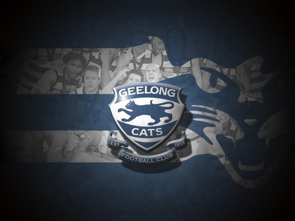 1030x770 Geelong desktop wallpaper. Geelong cats, Cat wallpaper, Geelong, Desktop