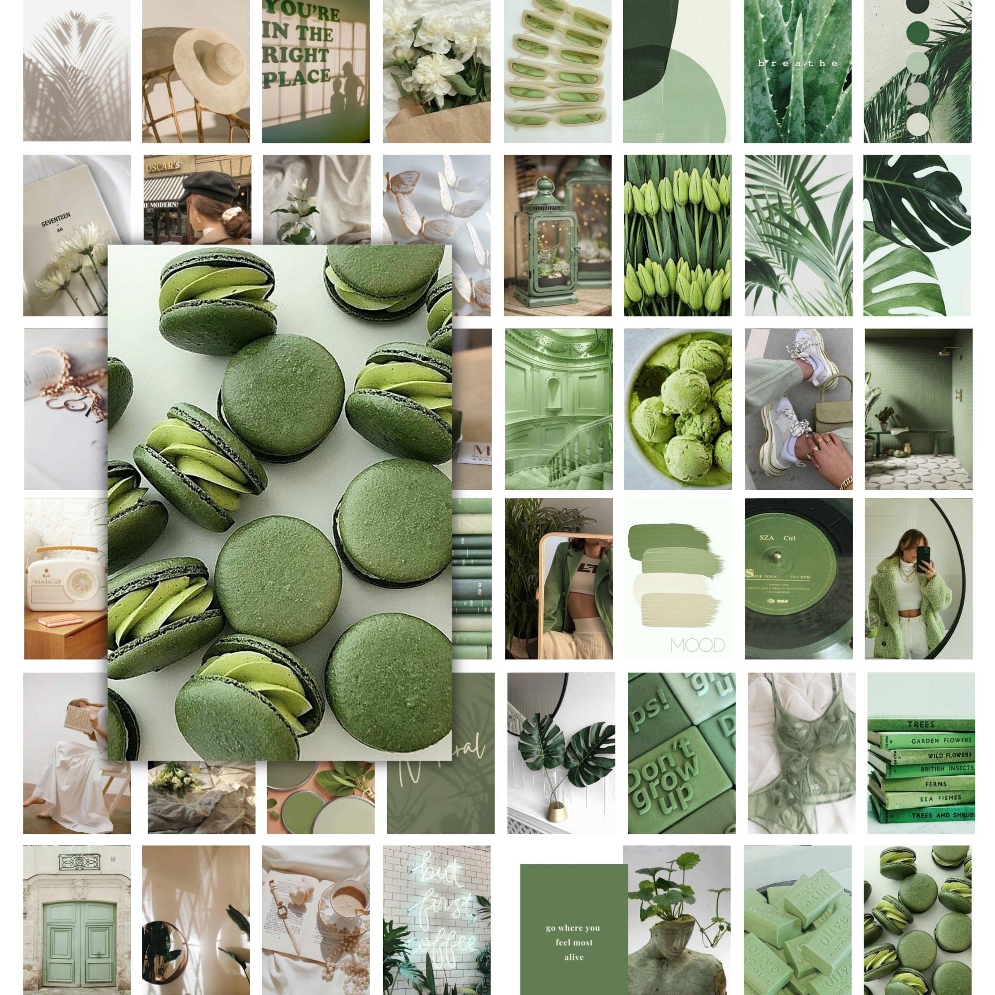 2000x2000 Jack Meets Kate Sage Green Room Decor Aesthetic, Wall Collage Kit for, Phone