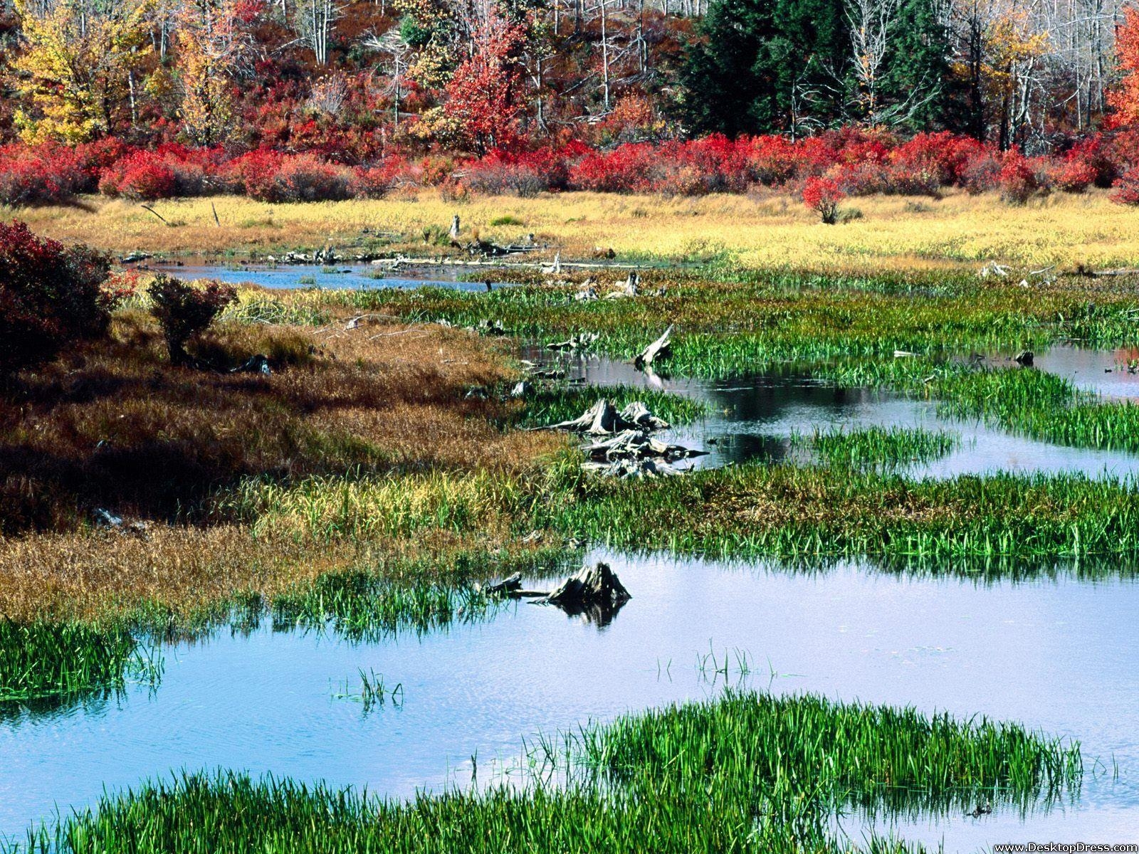 1600x1200 Desktop Wallpaper Natural Background Fall Pond, Ricketts, Desktop