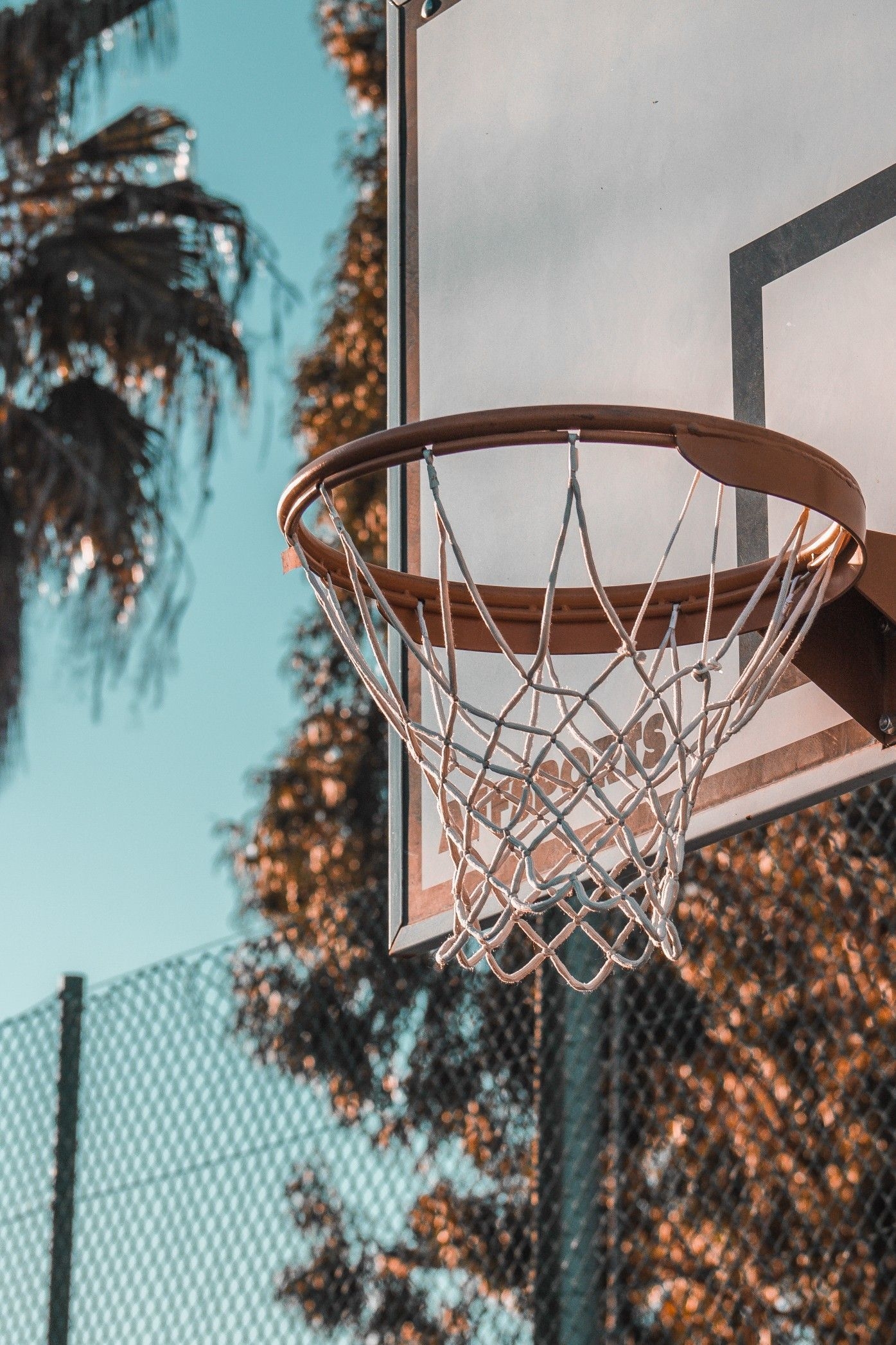 1400x2100 Venice basketball vibes. Basketball wallpaper, Basketball background, Basketball photography, Phone