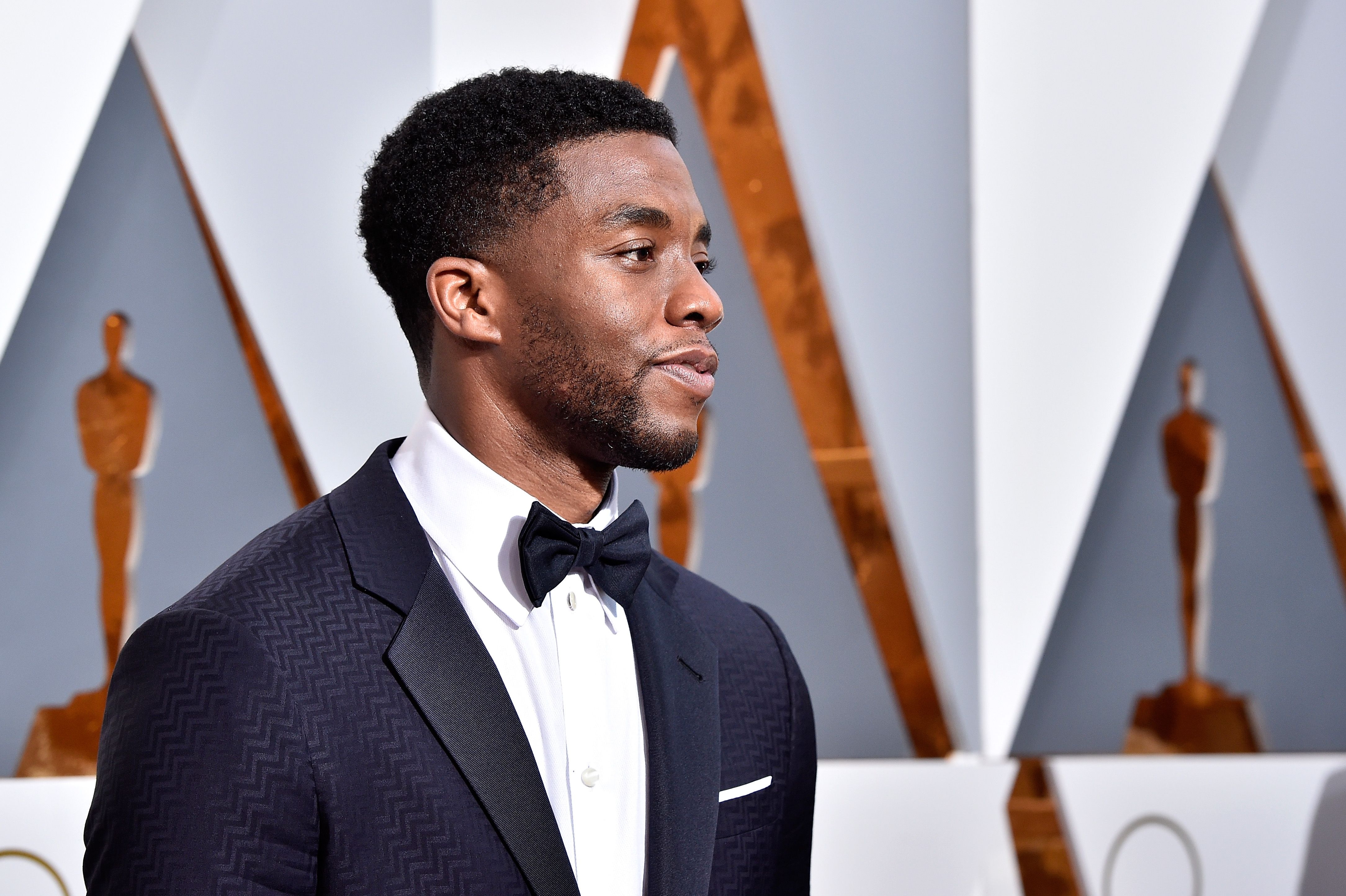 4340x2890 Chadwick Boseman 2018 worth, Desktop