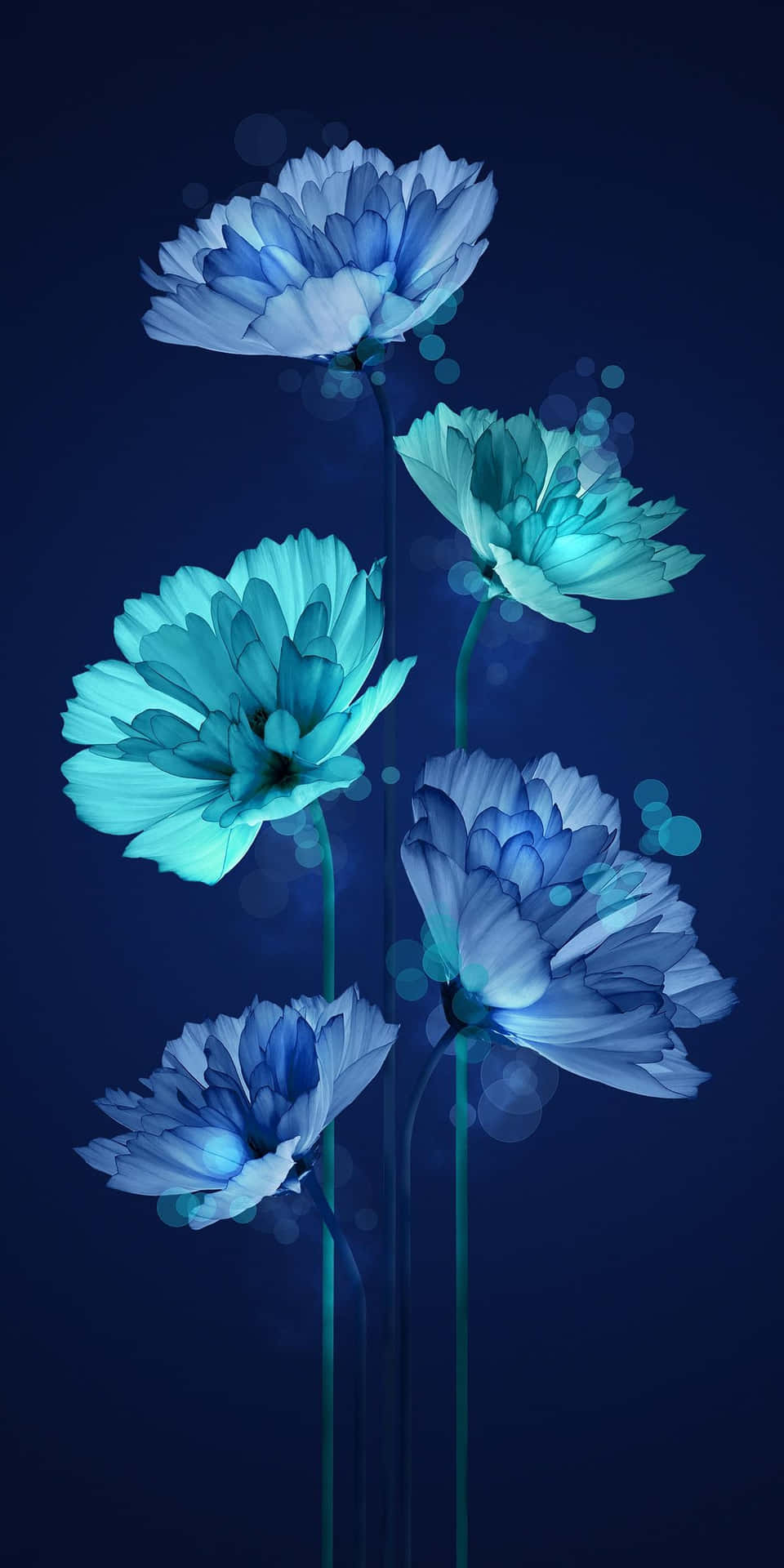 960x1920 Download Blue Flowers On A Dark Background Wallpaper, Phone