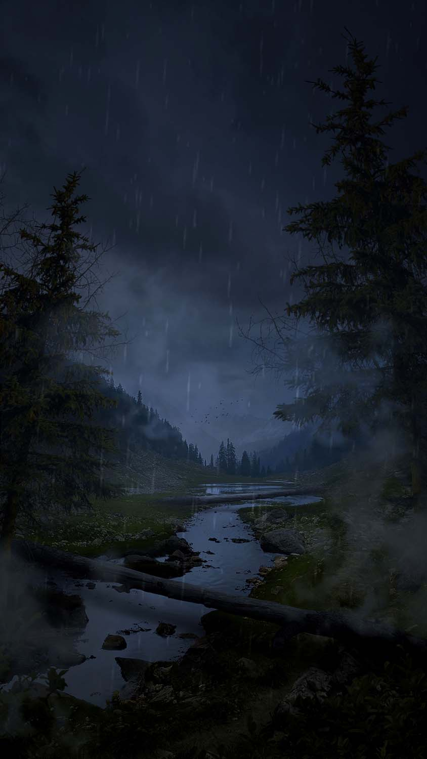 850x1500 Rain In Forest IPhone Wallpaper HD Wallpaper, iPhone Wallpaper. iPhone wallpaper rain, iPhone wallpaper, Phone wallpaper image, Phone