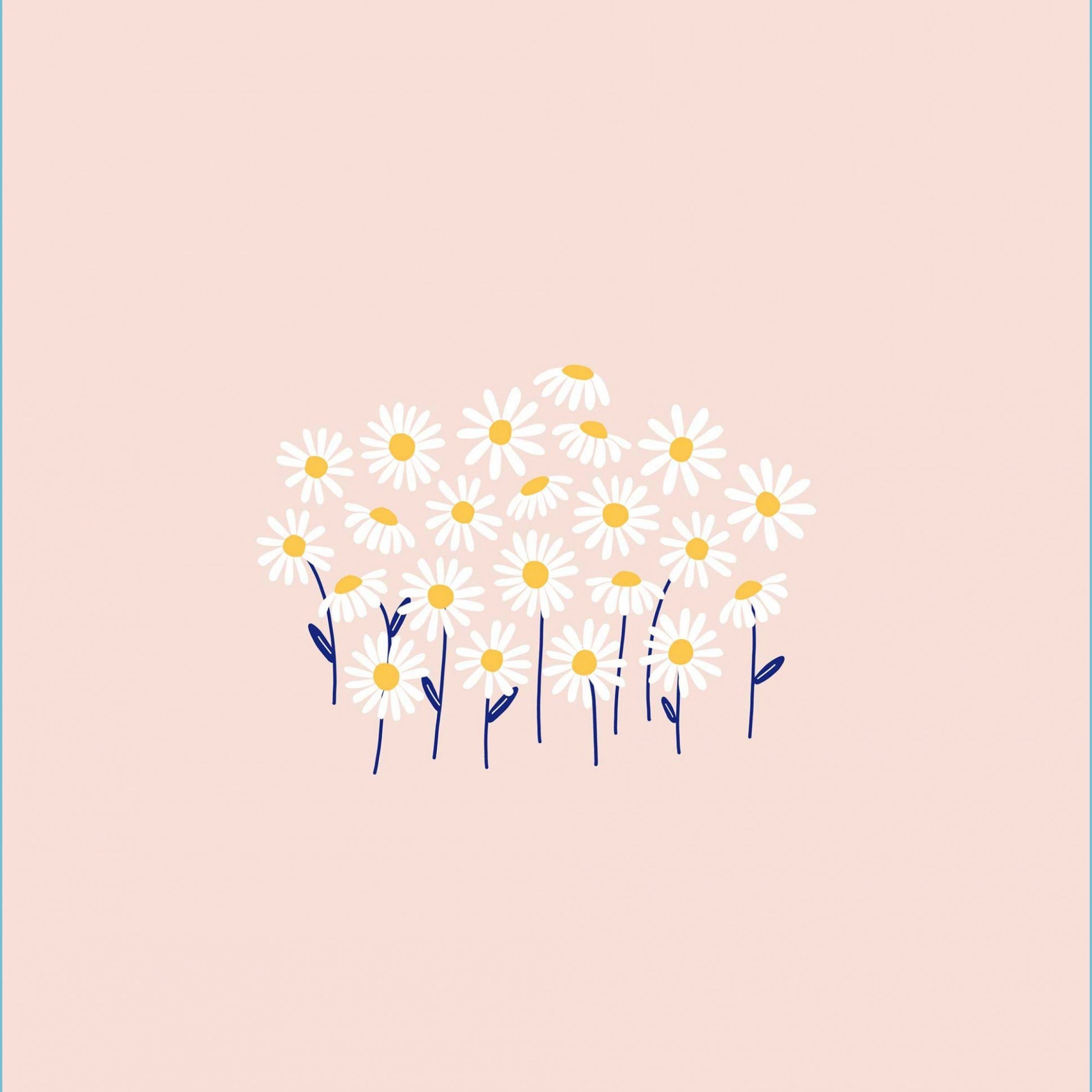 2560x2560 Daisy Desktop, Tablet And Phone Wallpaper Daisy Wallpaper Wallpaper Aesthetic, Phone