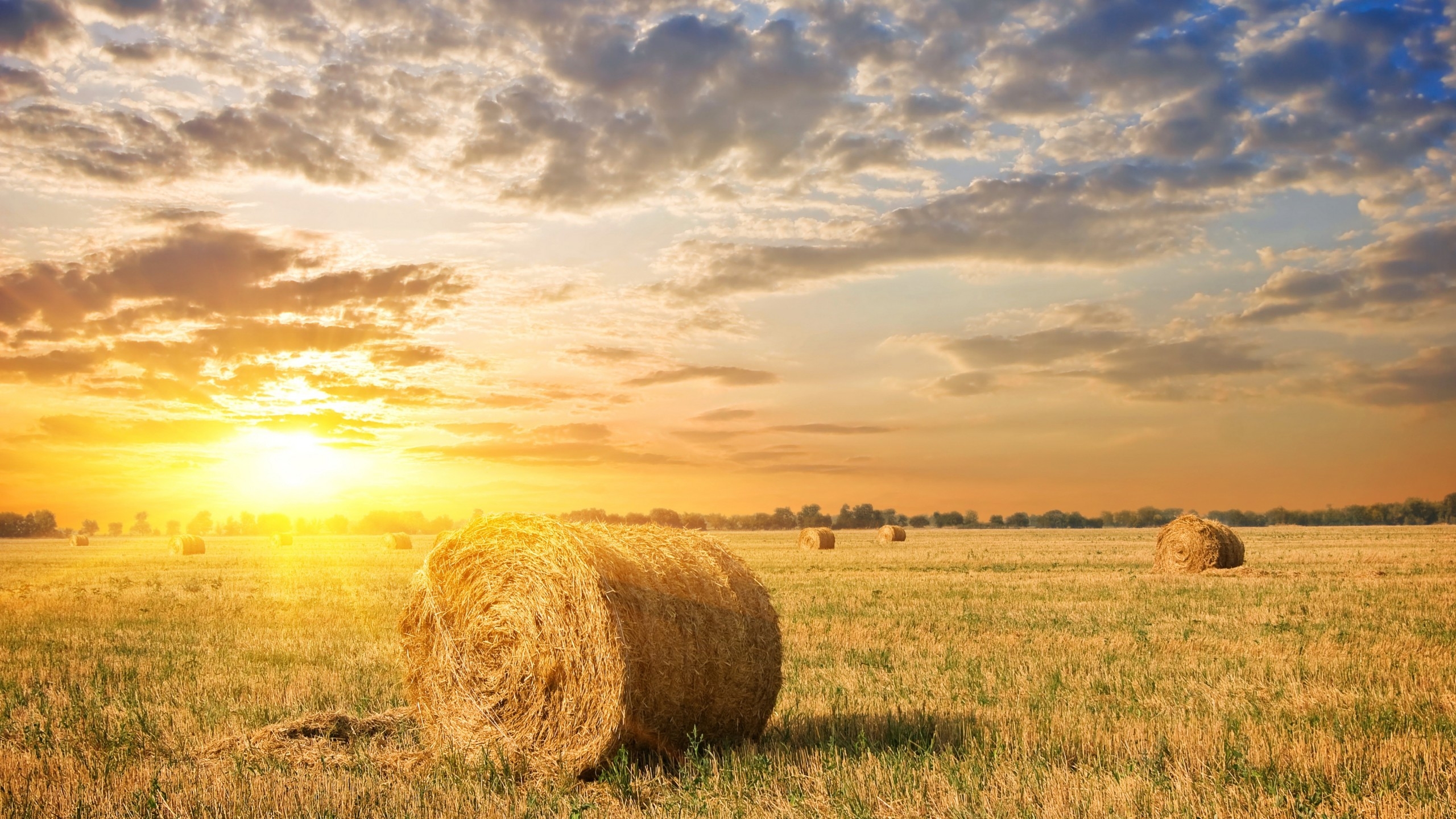 2560x1440 Wallpaper Meadows, 4k, HD wallpaper, hay, sunset, clouds, Nature, Desktop