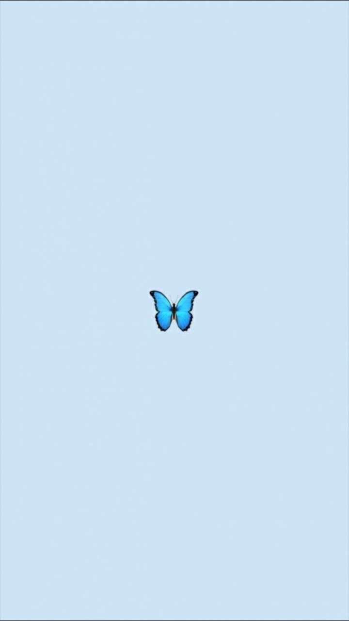 720x1280 Blue Cute Aesthetic Butterfly Wallpaper, Phone